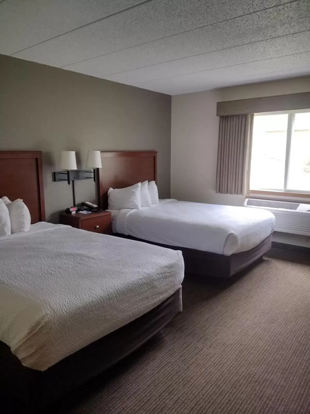 Bed in AmericInn by Wyndham Red Wing