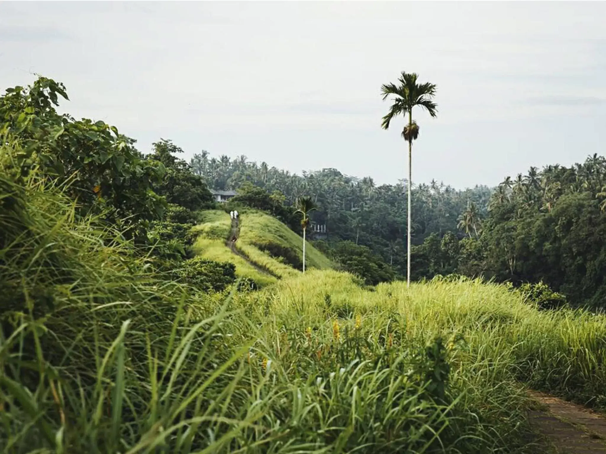 Nearby landmark in Sri Ratih Cottages, CHSE Certified