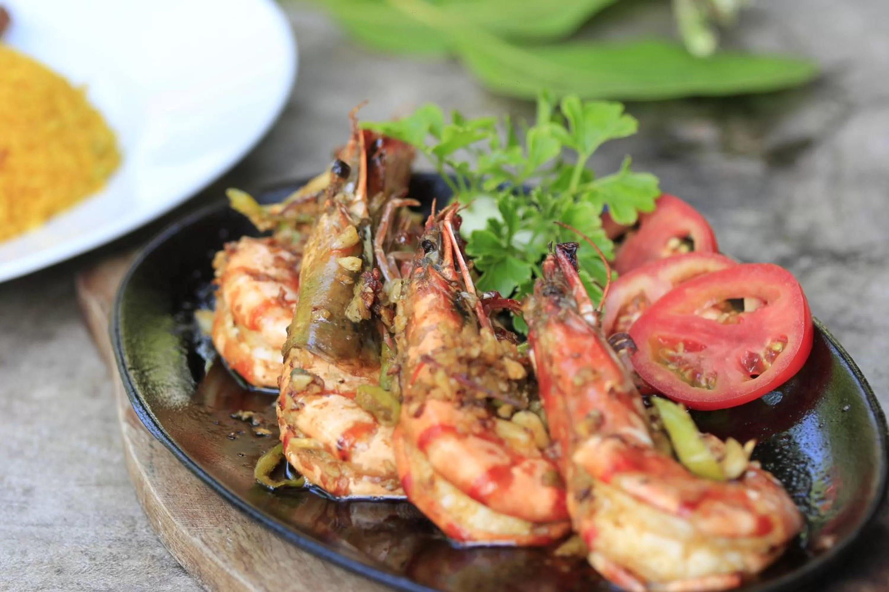 Discovery Island Resort