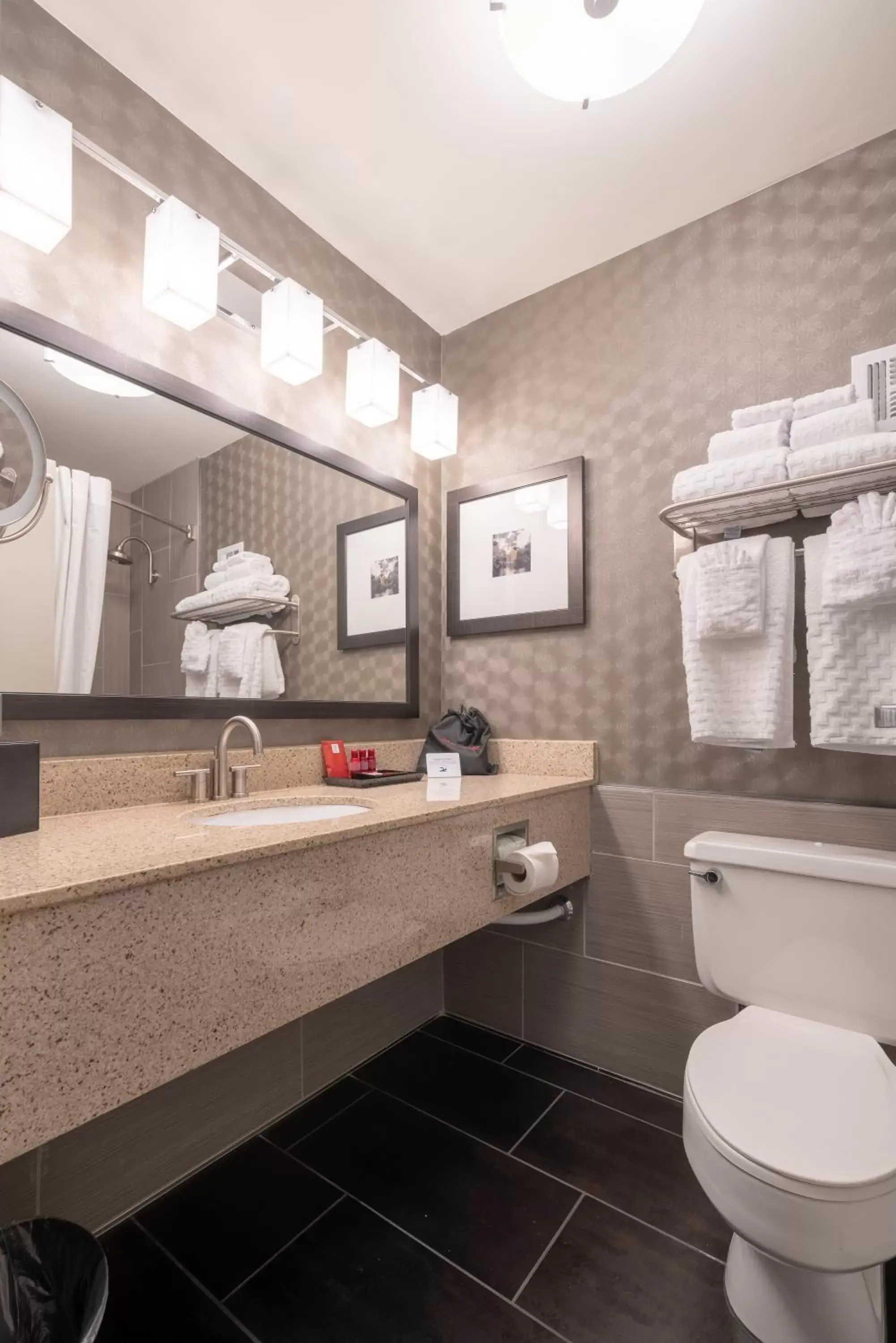 Toilet, Bathroom in Best Western Premier Airport/Expo Center Hotel