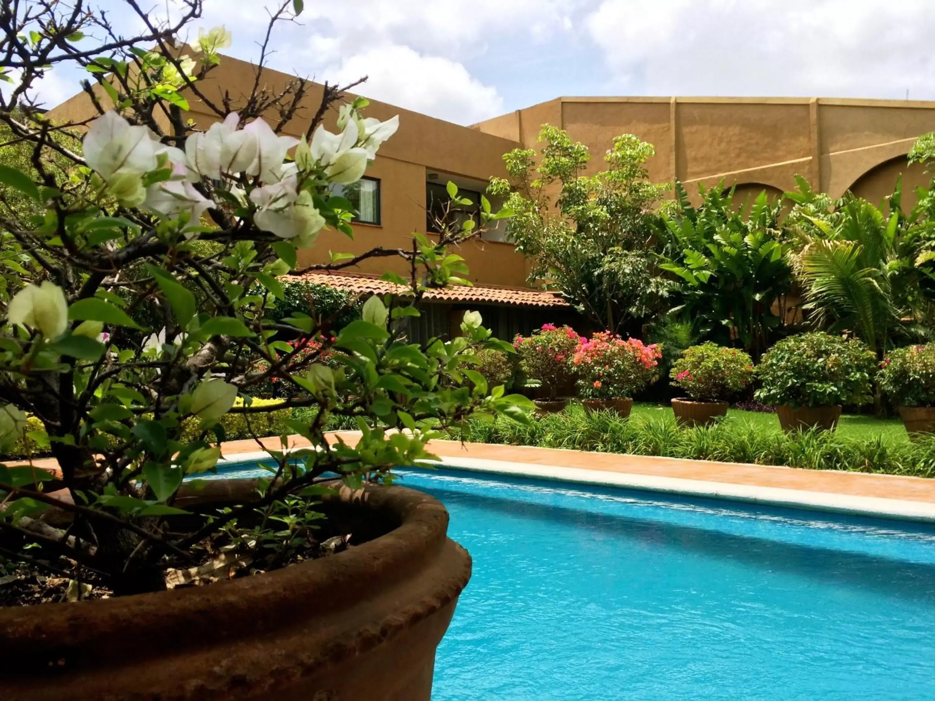 Swimming Pool in Orchidelirium Casa Hotel & Salud Estética