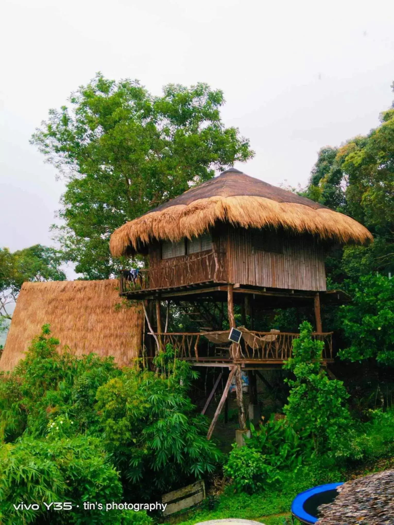 Sanctuaria Treehouses Busuanga