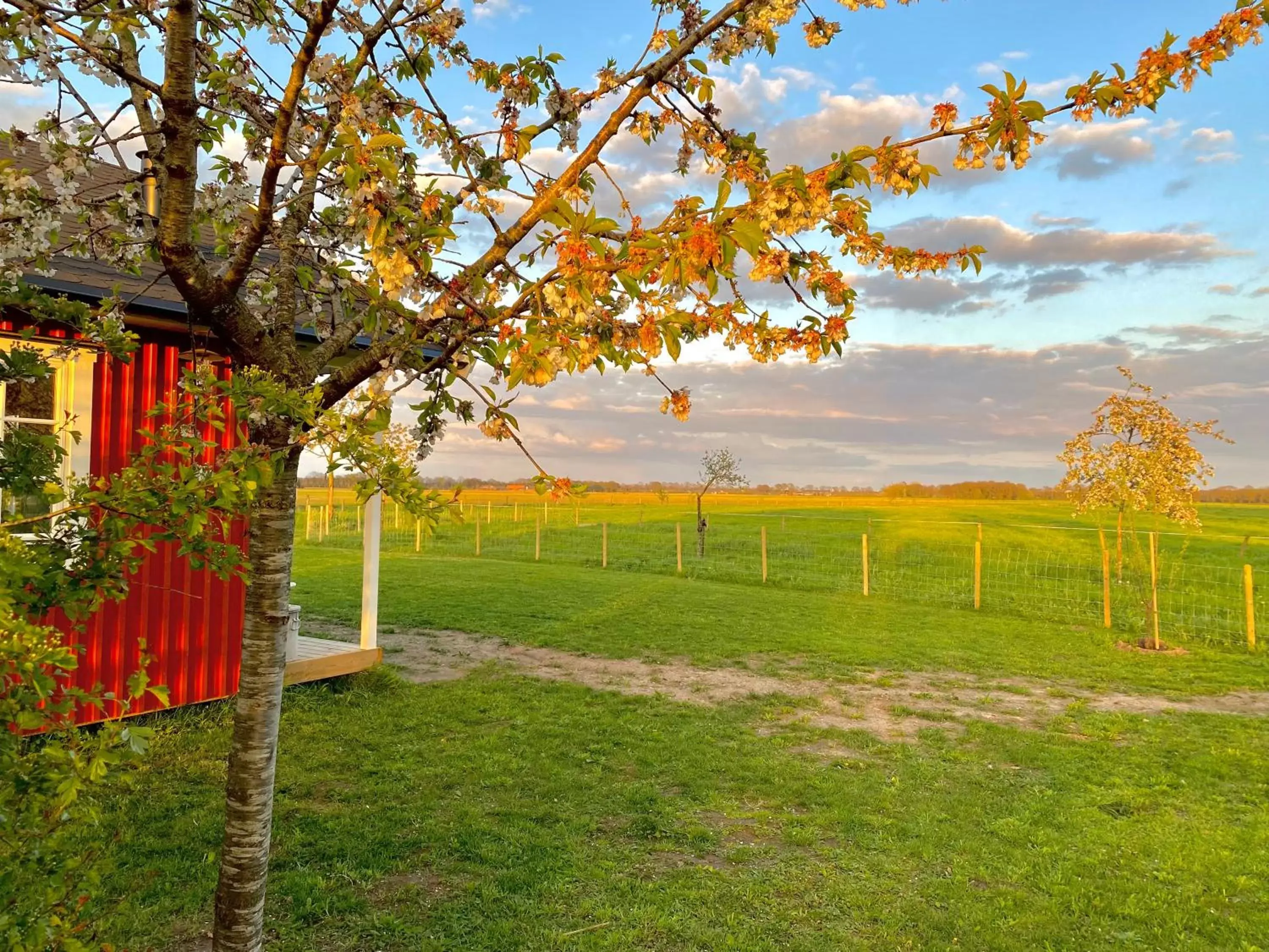 Natural landscape in De Heeren Hoeve Carpe Diem