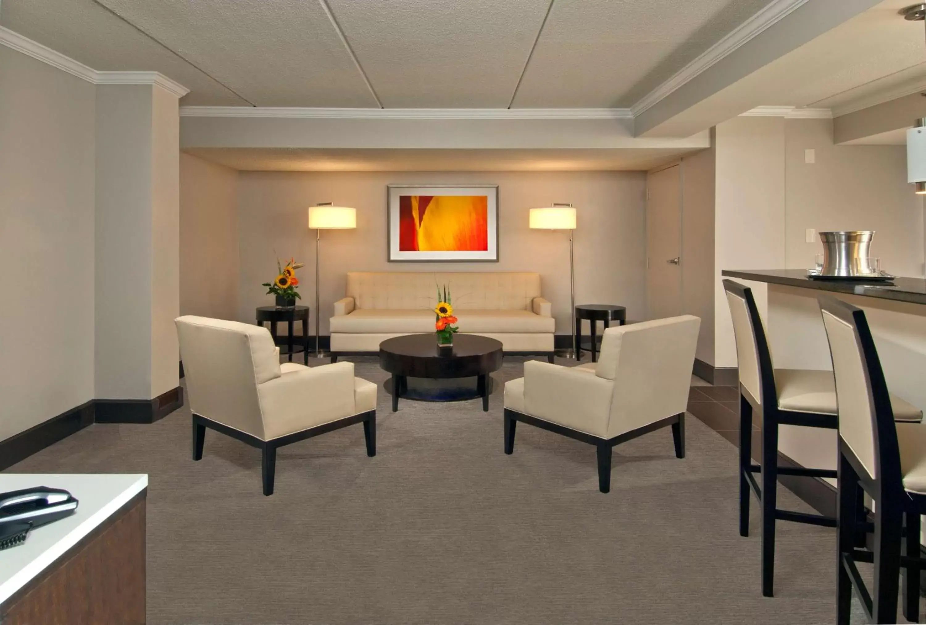 Living room, Seating Area in Hilton Albany