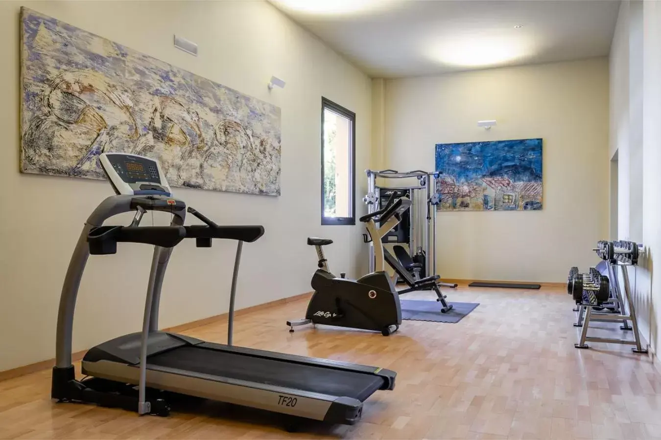 Fitness centre/facilities, Fitness Center/Facilities in Sercotel Arrahona Sabadell