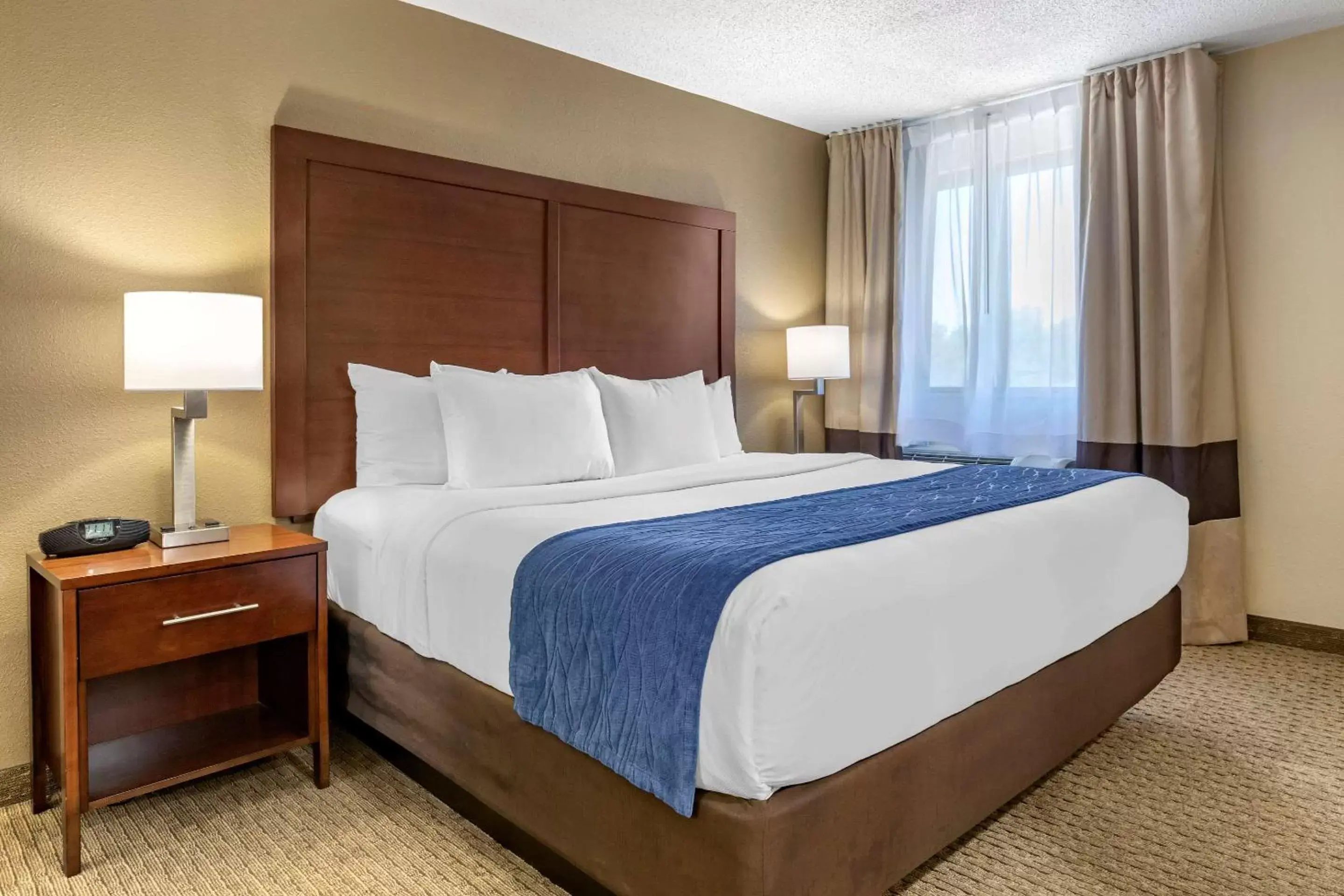 Photo of the whole room, Bed in Comfort Inn Near Greenfield Village