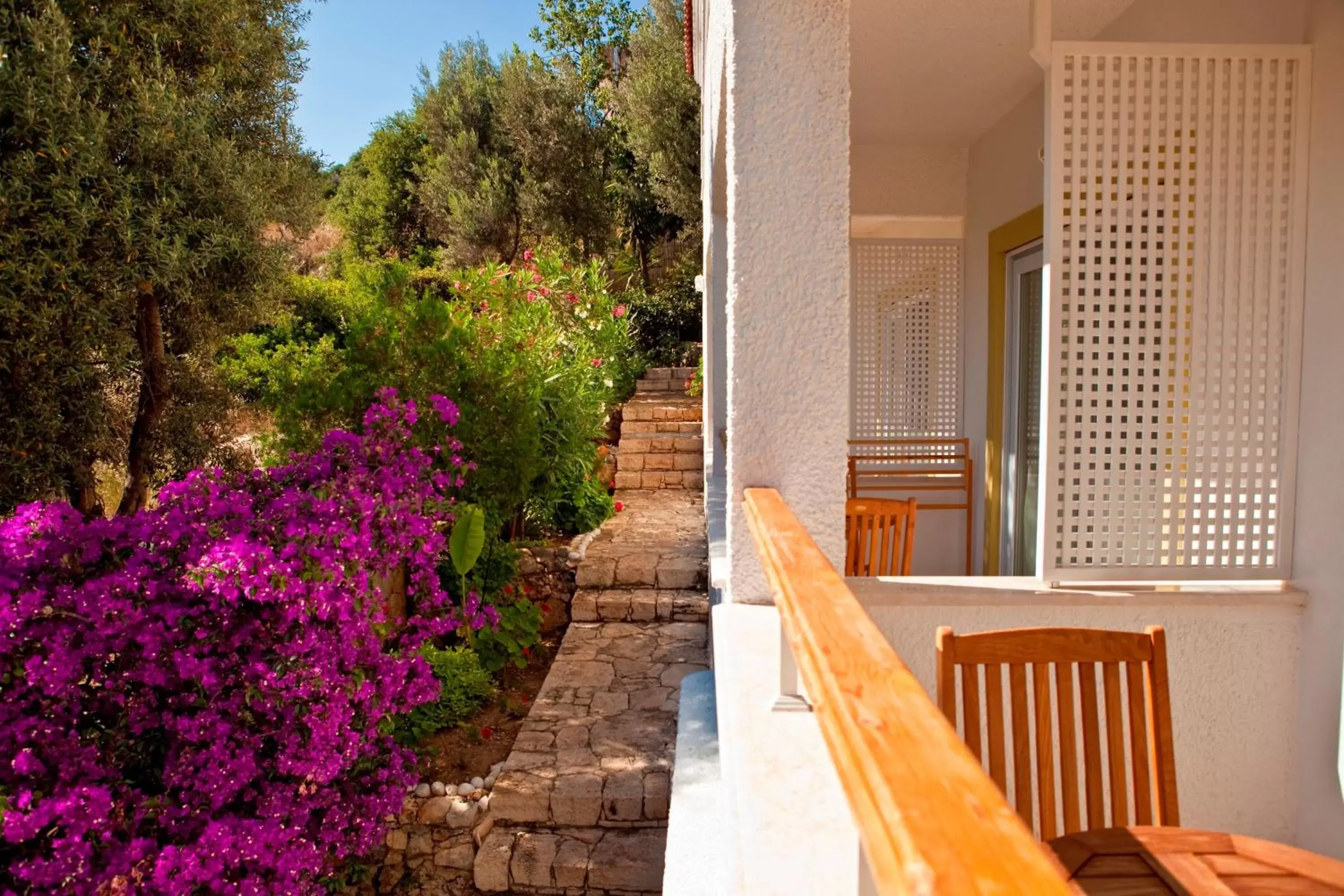 Garden in Olea Nova Hotel