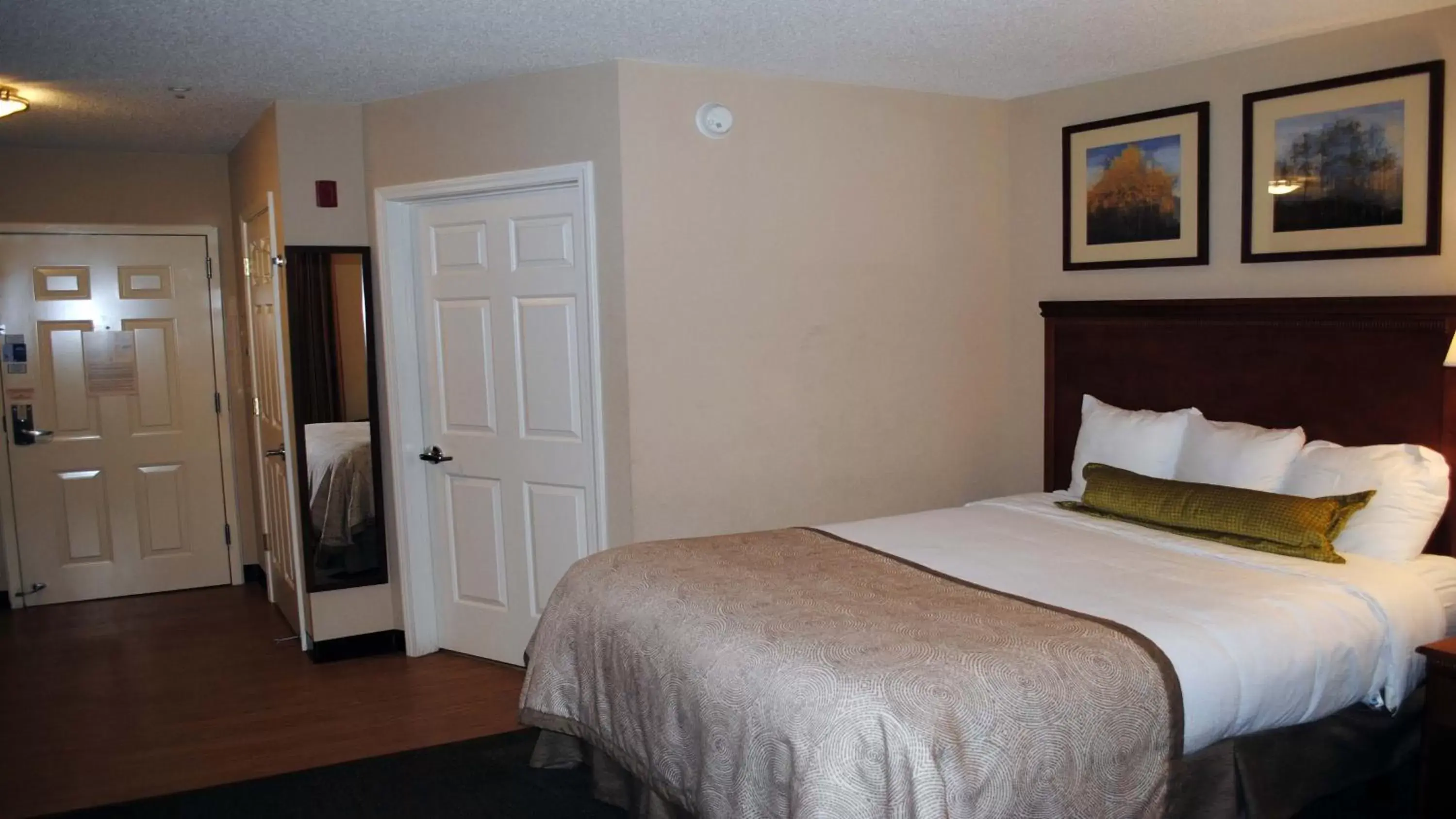 Photo of the whole room, Bed in Candlewood Suites Colonial Heights - Fort Lee, an IHG Hotel