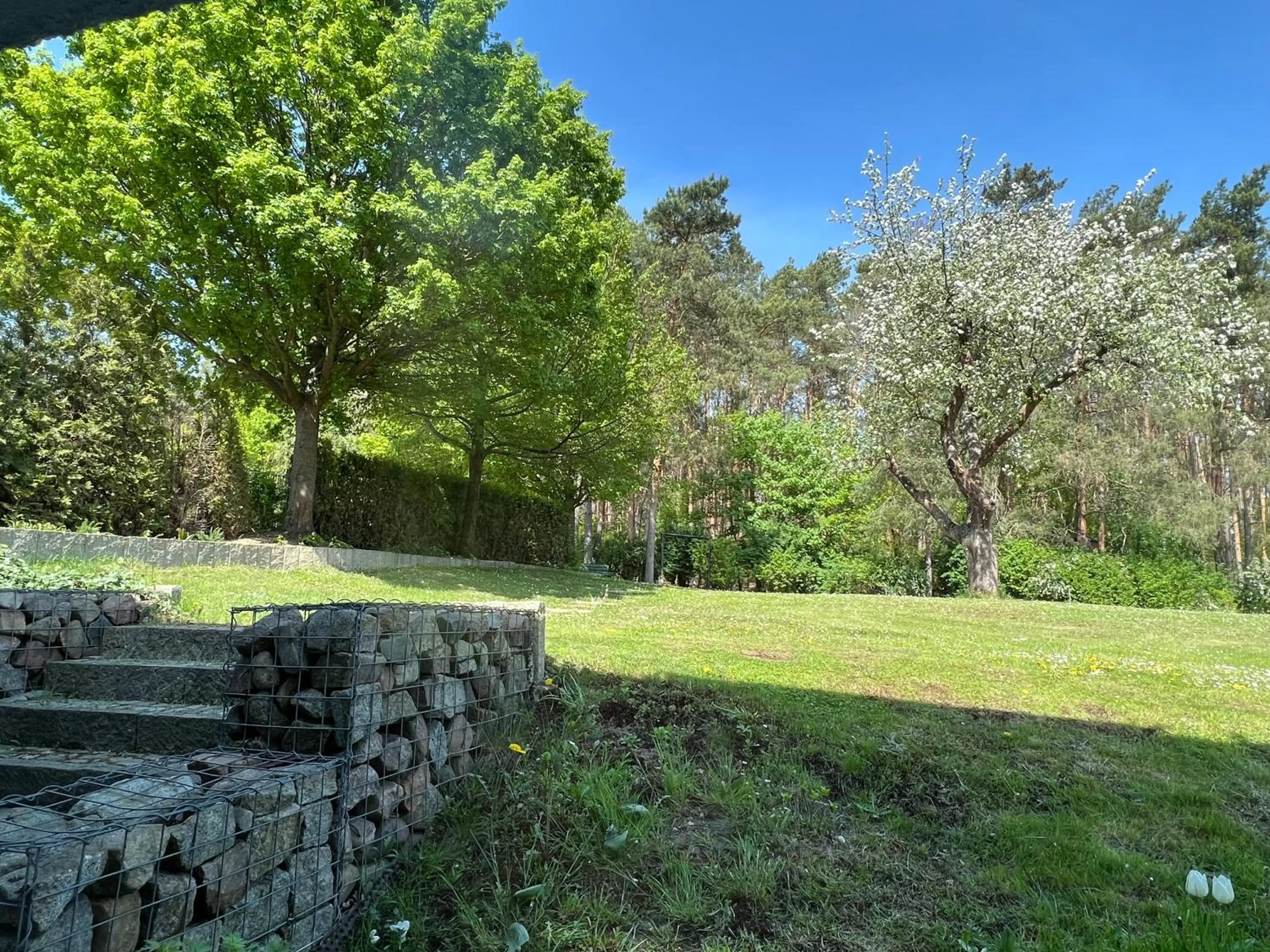 Natural landscape in Hotel Zur Linde Dein Self Check In