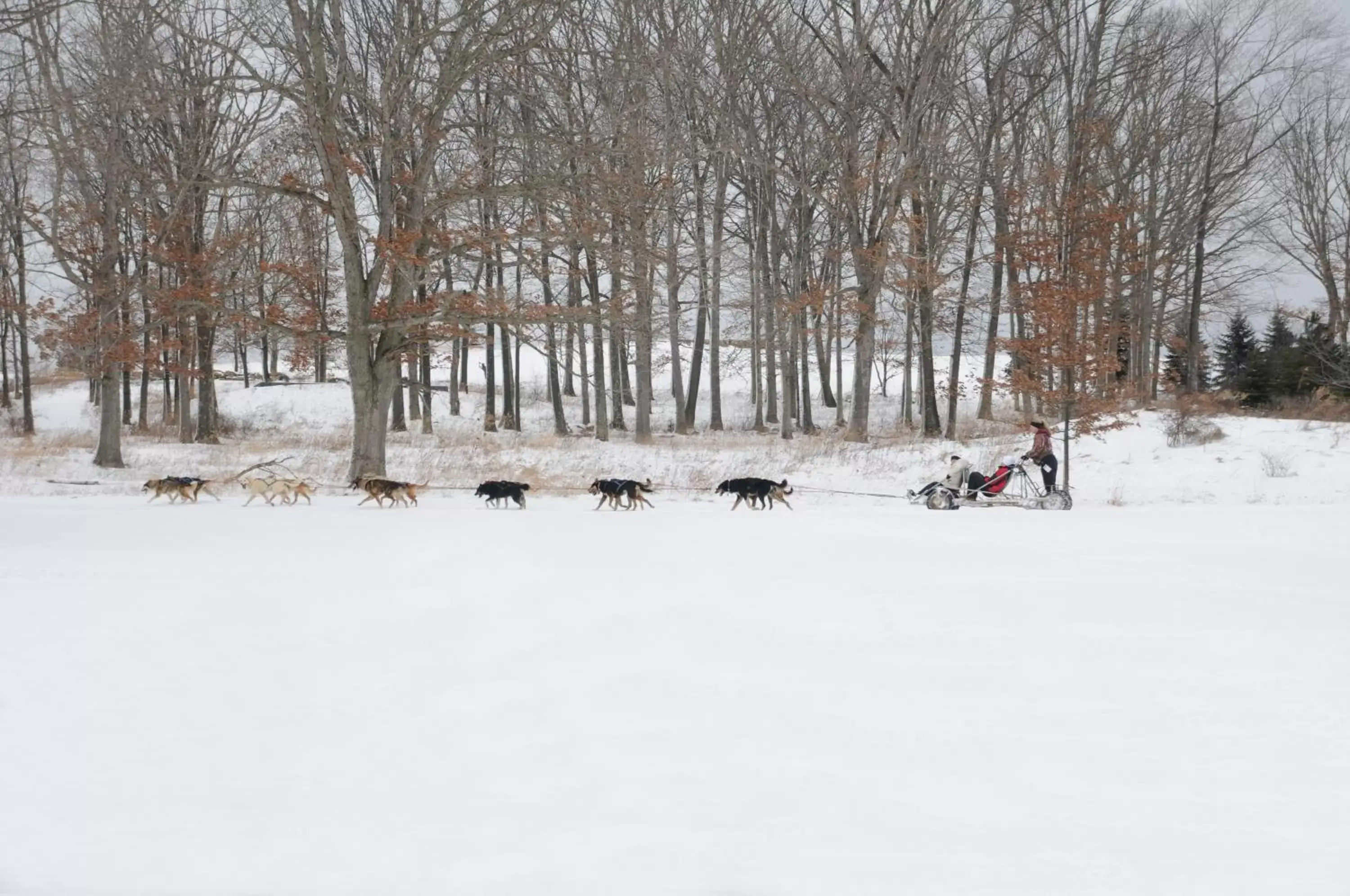 Winter in Nemacolin