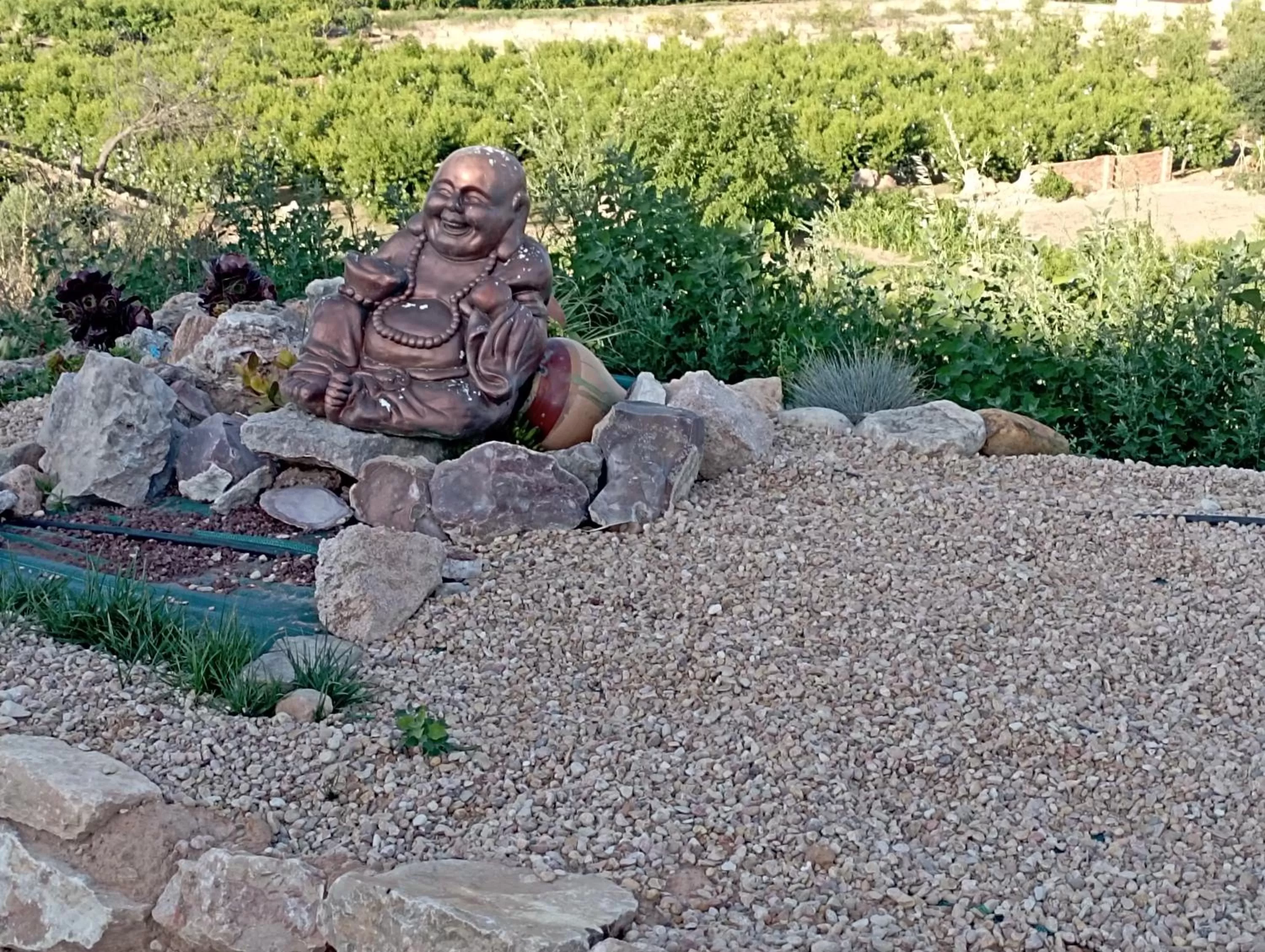 Garden in Cabezo Buñuel Hostal
