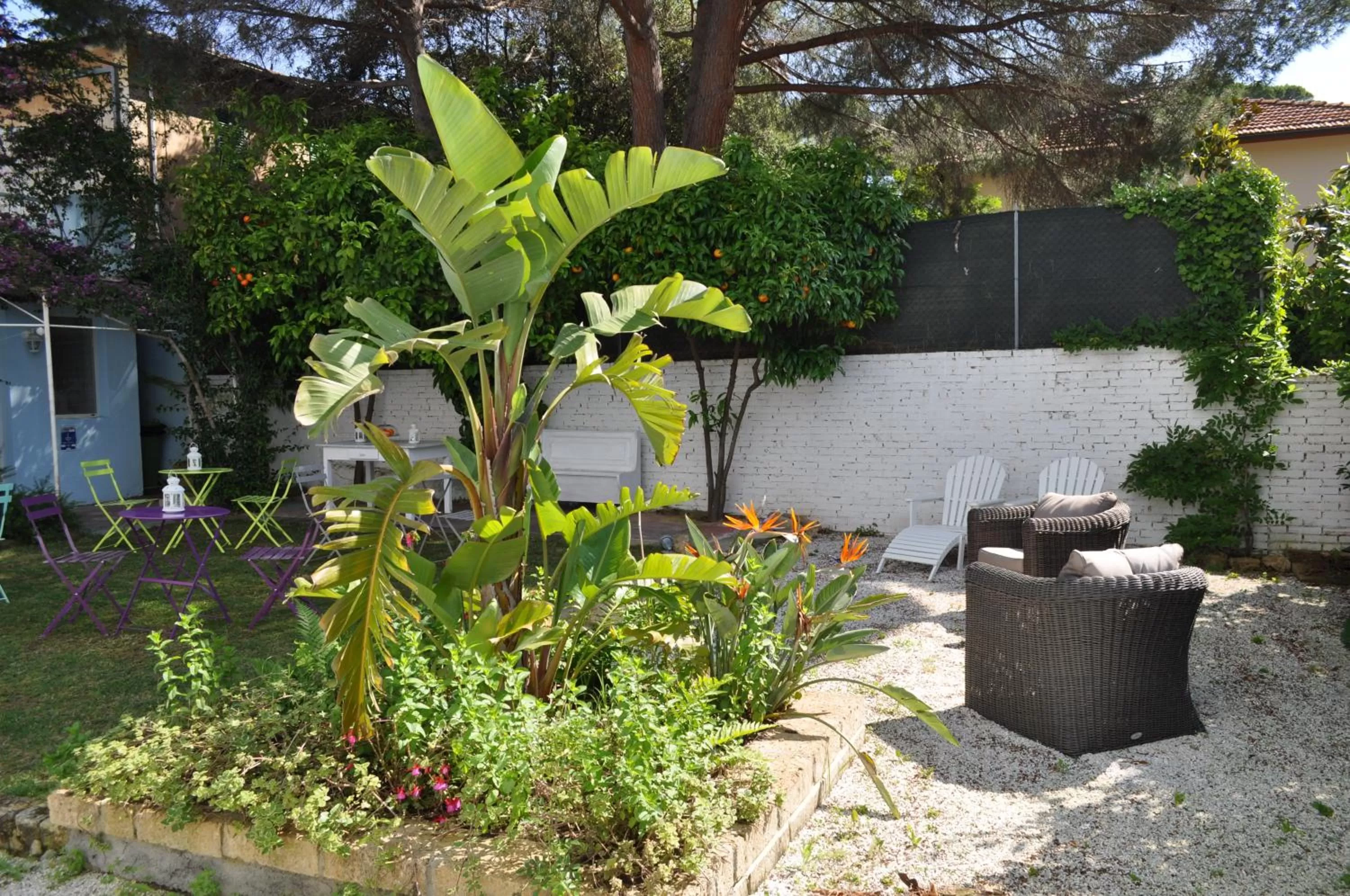 Garden in Guerrini Hotel