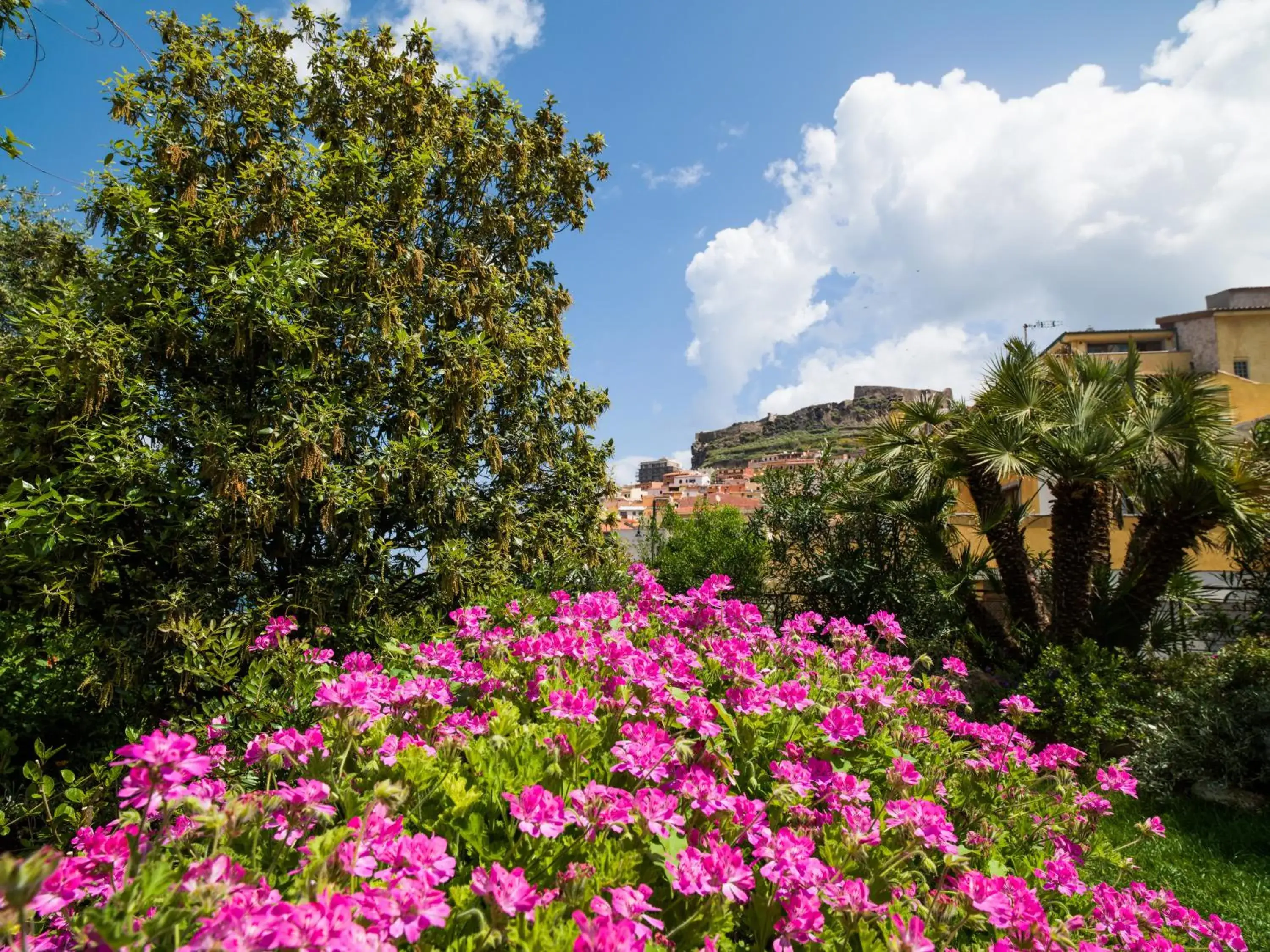 Garden in Hotel & SPA Riviera Castelsardo