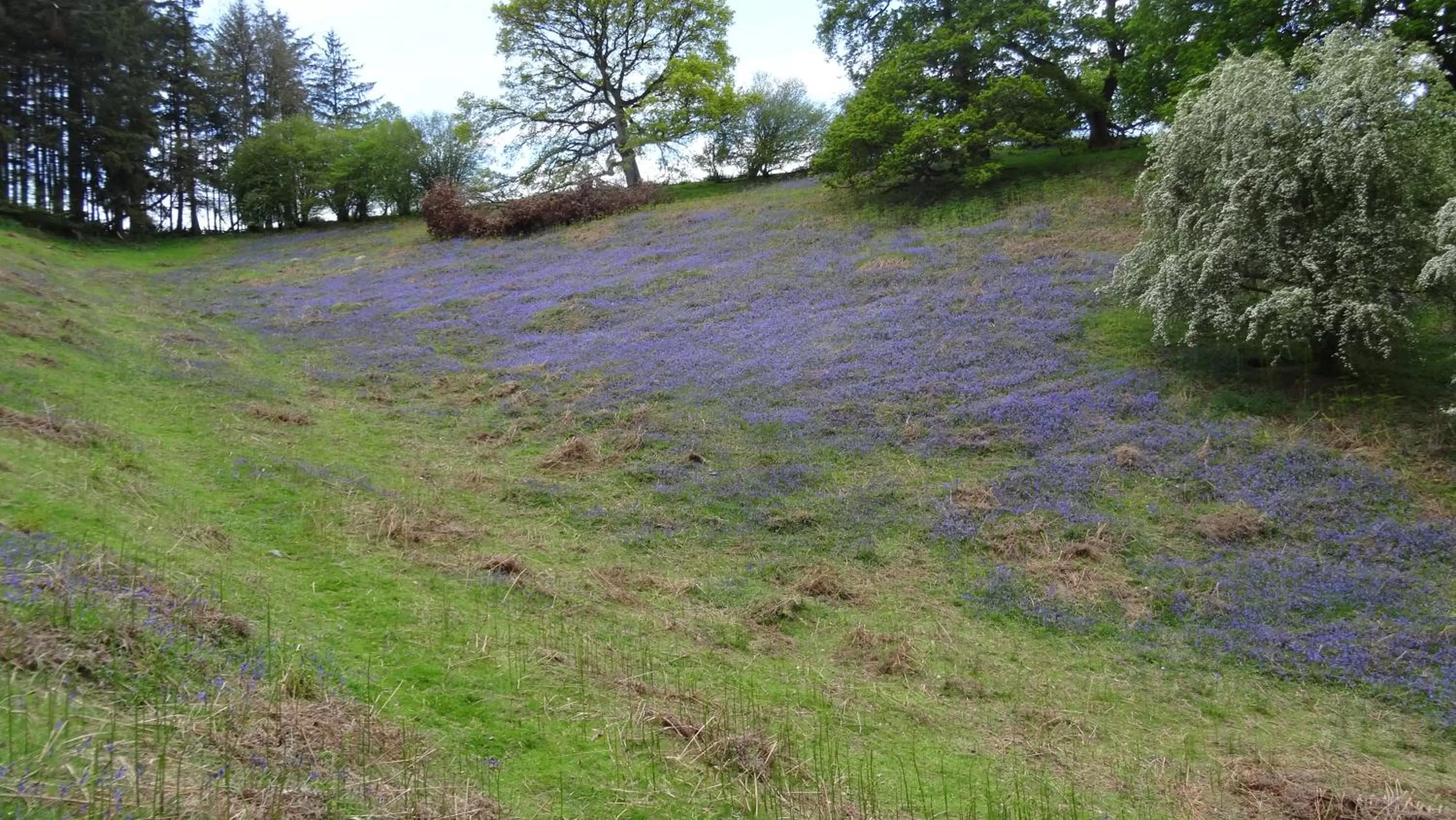 Spring in Middle Woodbatch B&B