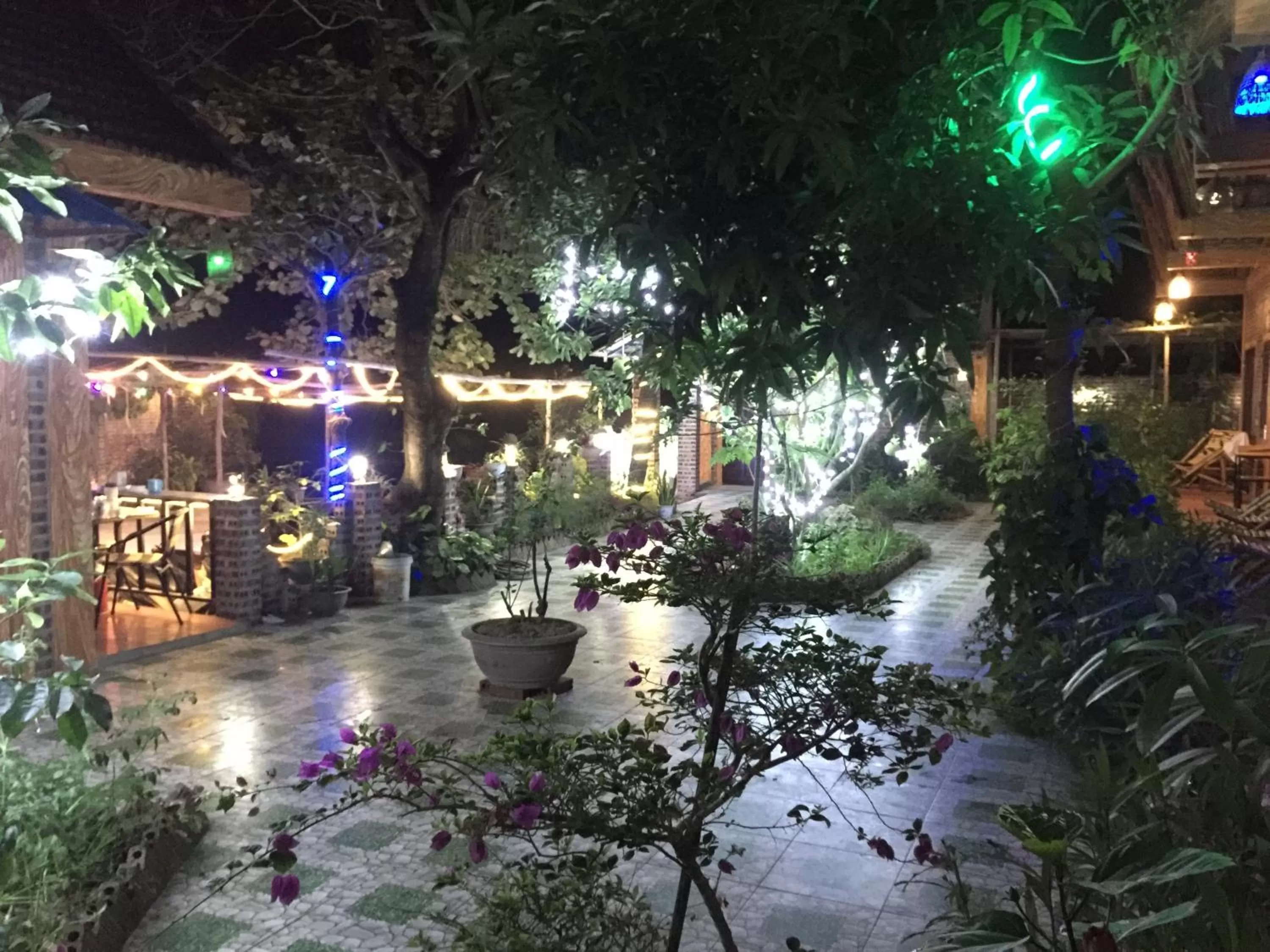 Night in Tam Coc Vinh Thinh Homestay