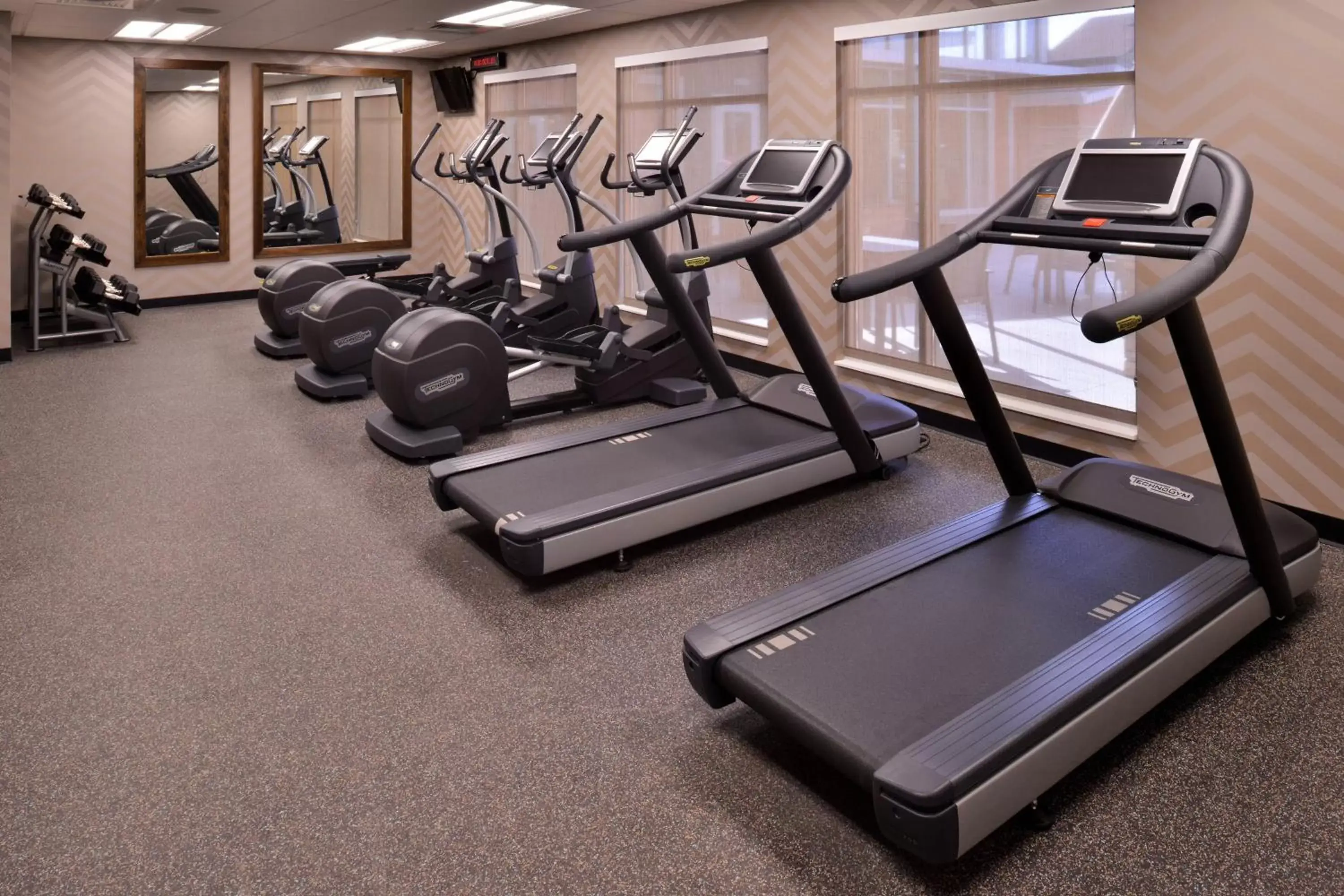 Fitness centre/facilities, Fitness Center/Facilities in Residence Inn by Marriott East Lansing