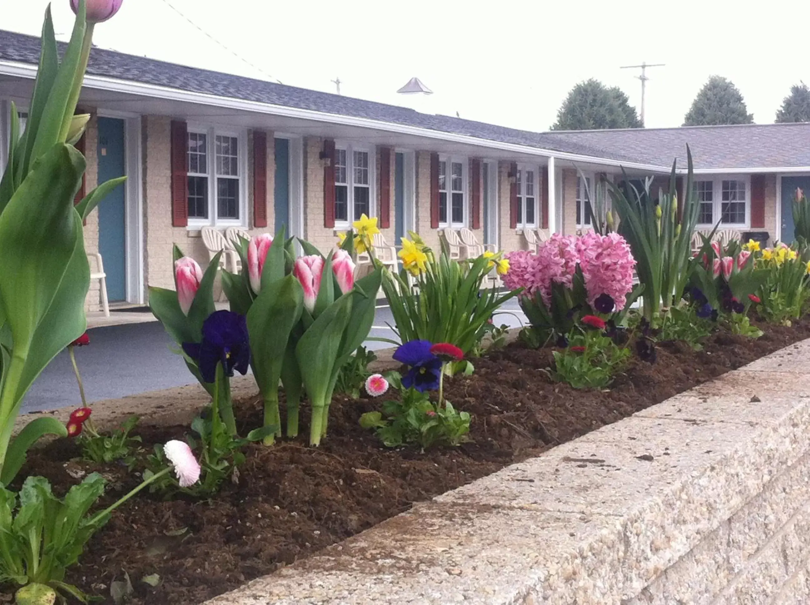 Facade/entrance in Travelers Rest Motel Facade/entrance in Travelers Rest Motel