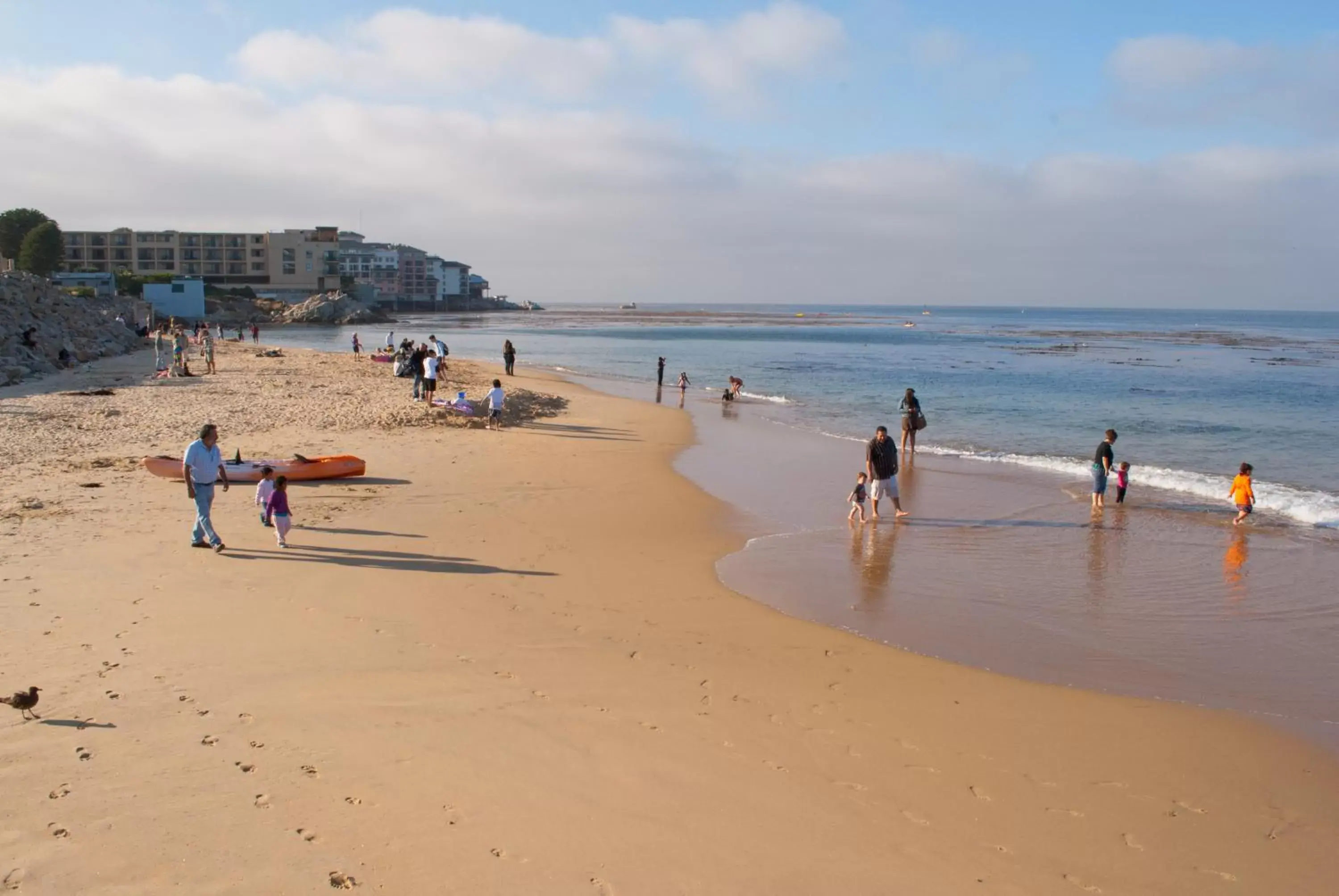 View (from property/room), Beach in Monterey Bay Inn