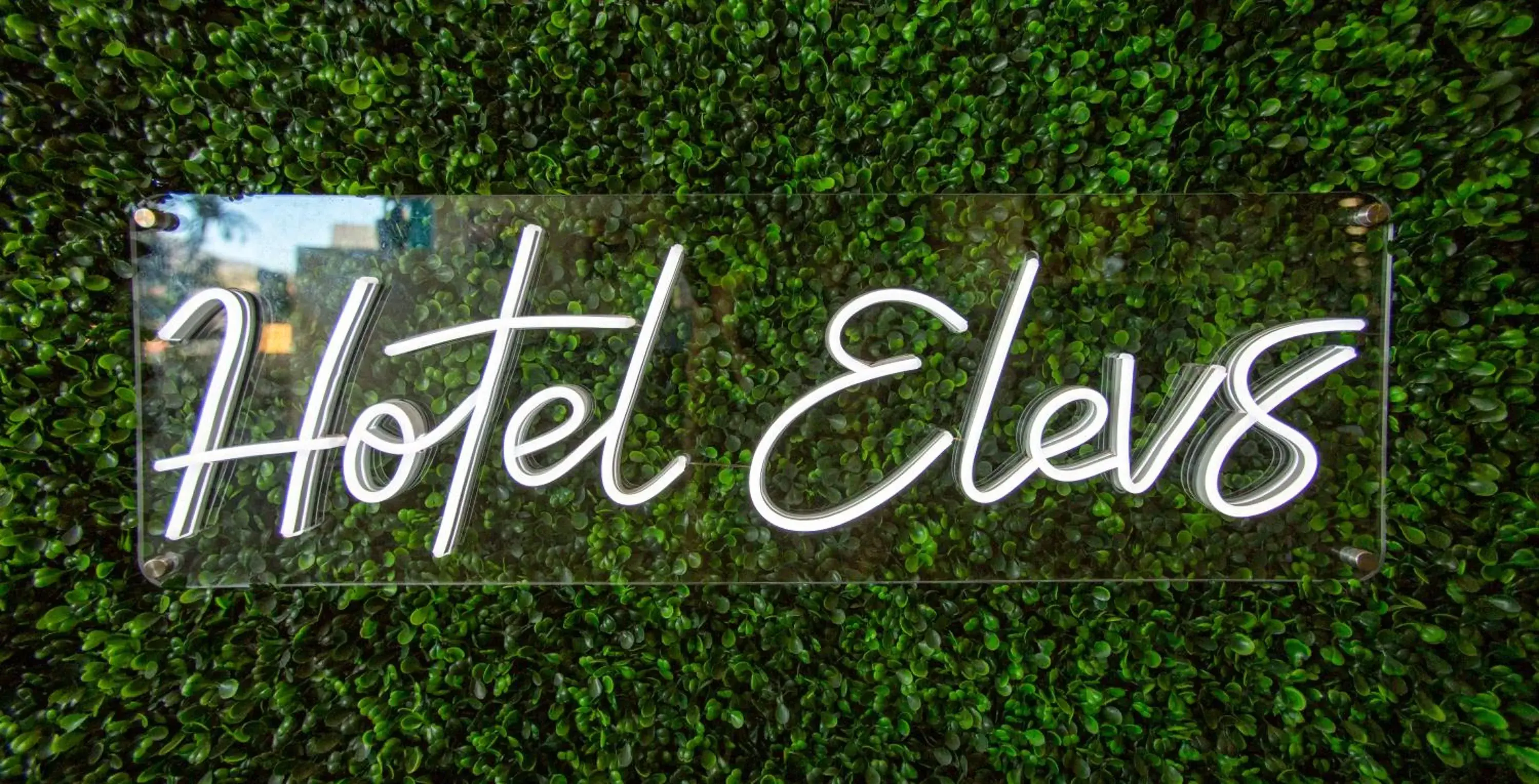 Property logo or sign, Property Logo/Sign in Hotel Elev8 Flagstaff I-40 Exit 198 Butler Ave
