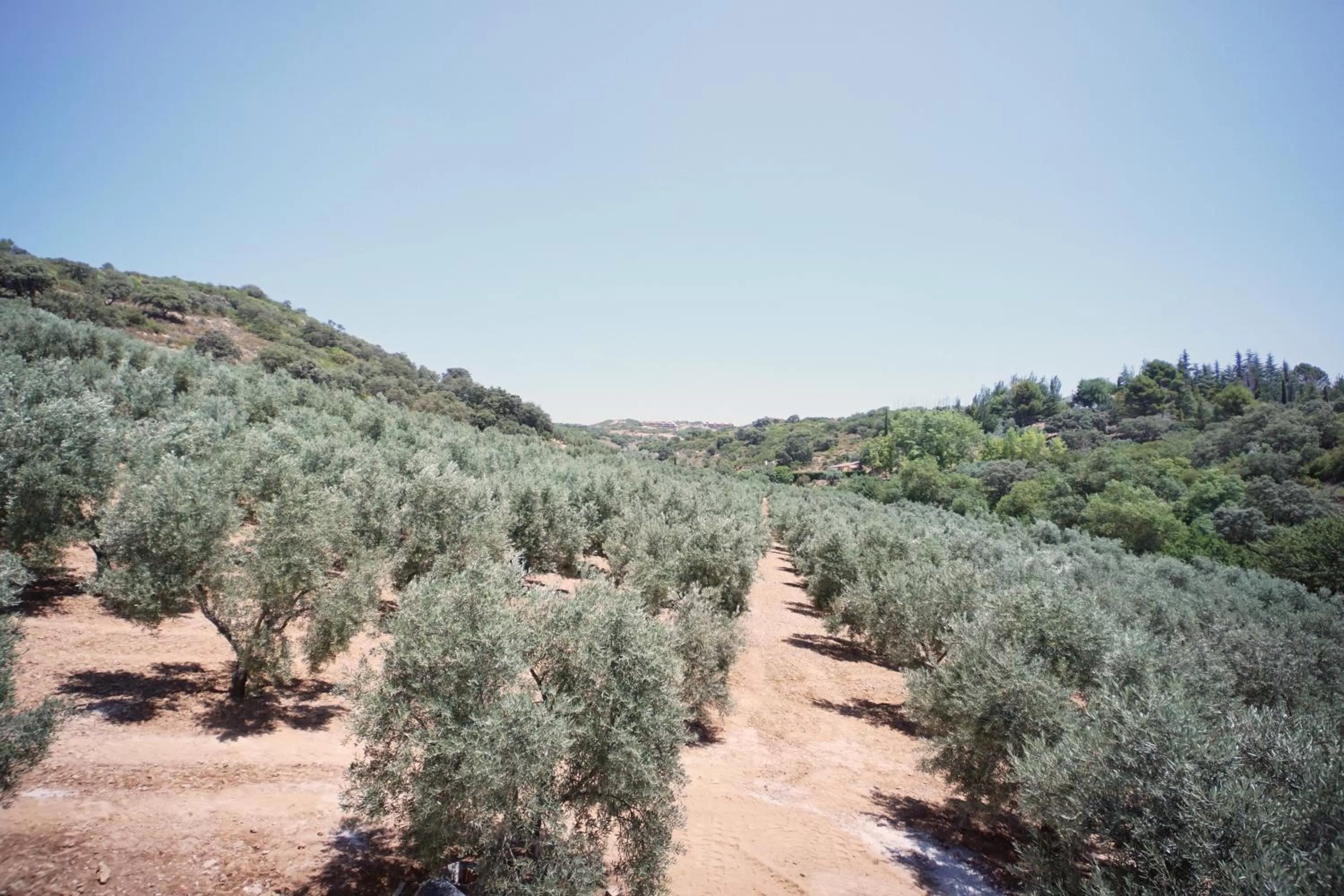 Off site in Hacienda Fresneda María by Real Spain Hotels Adults Recommended