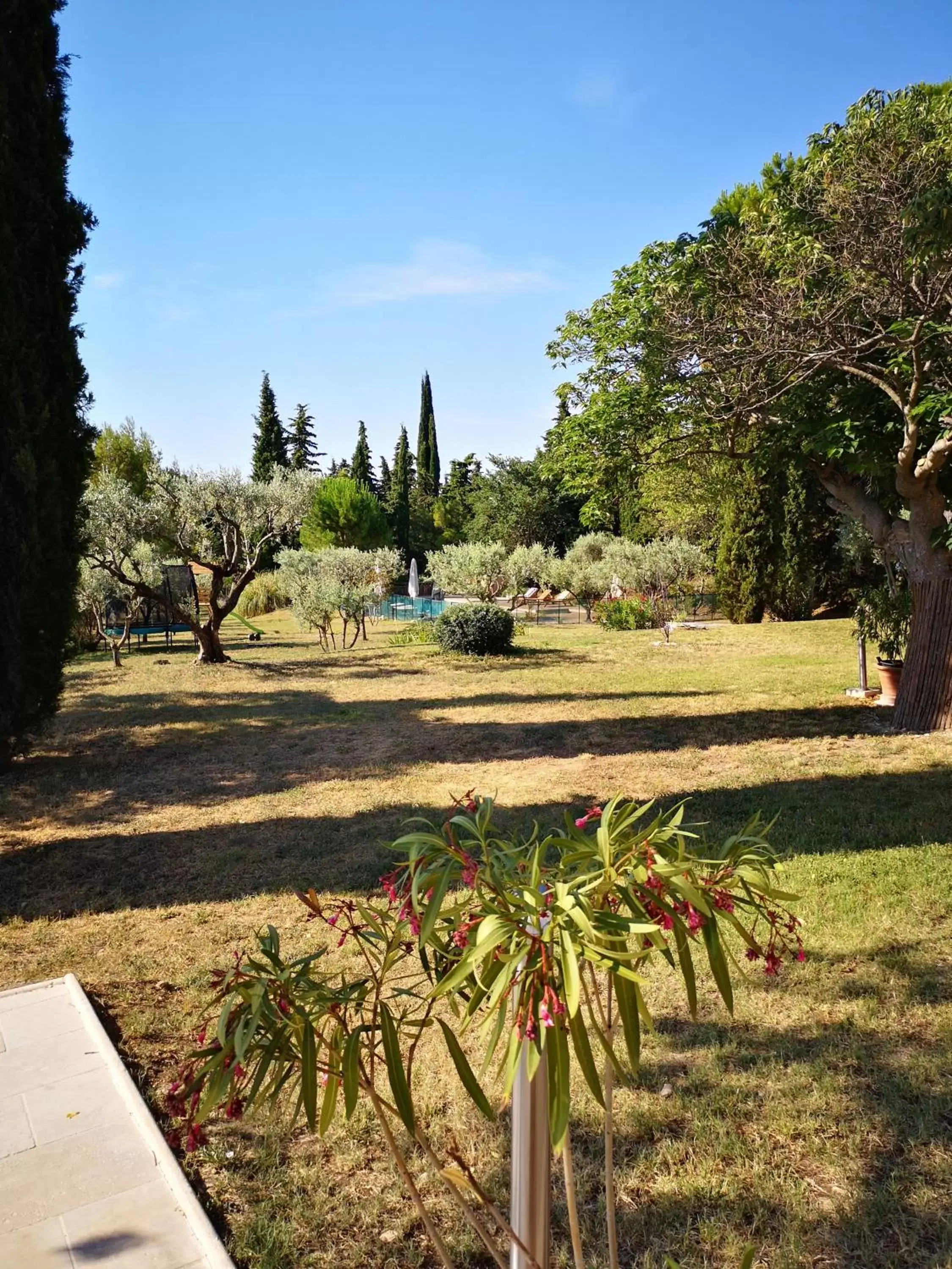 Garden in La Bastide du Limon