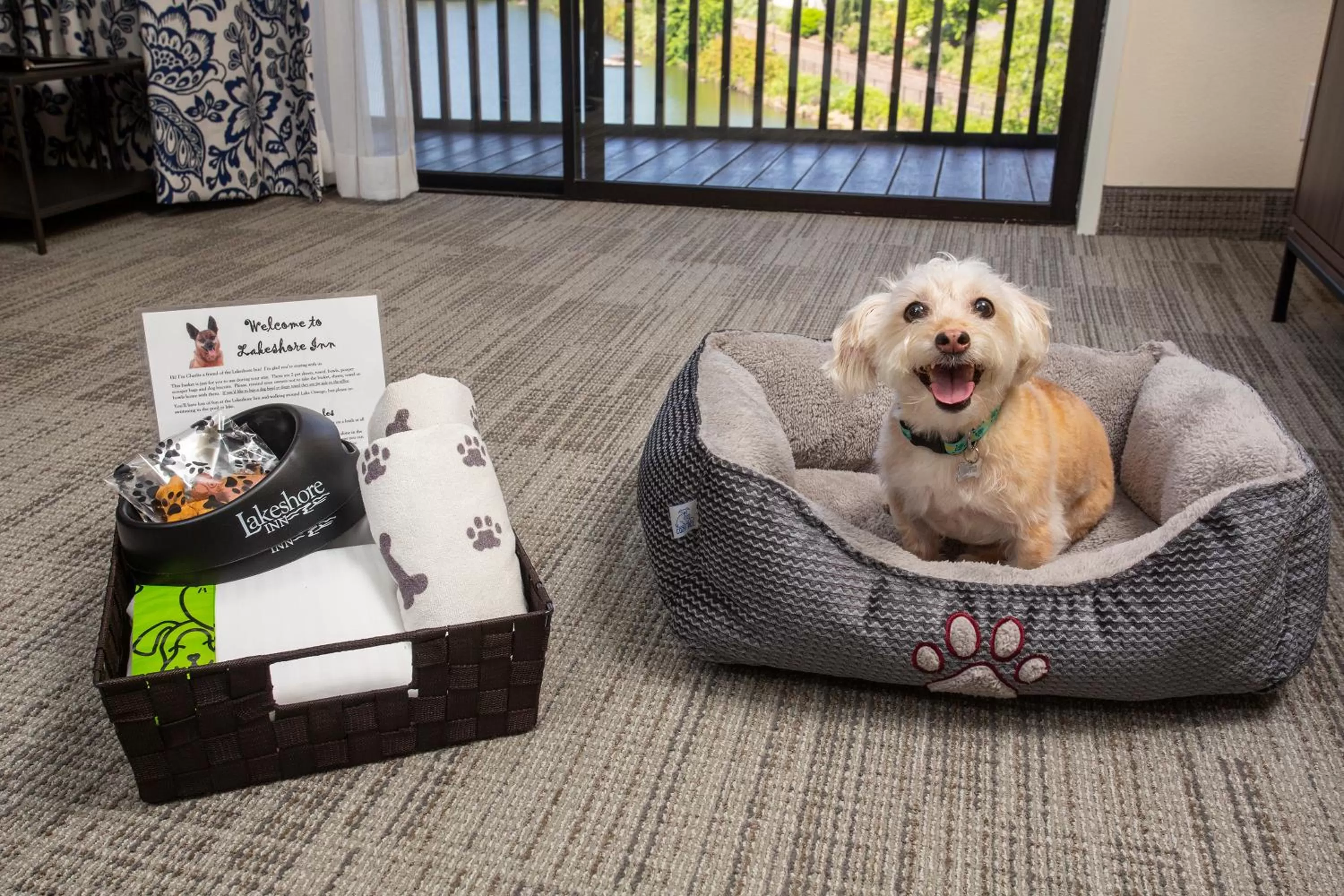 Pets in Lakeshore Inn