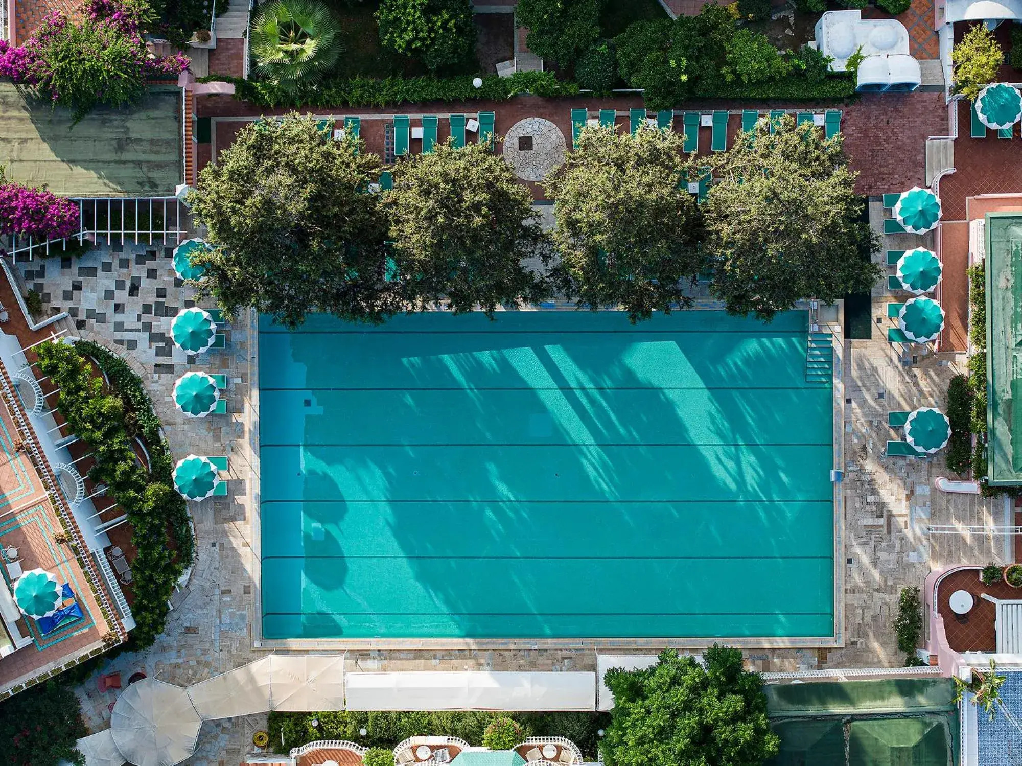 Swimming pool, Pool View in Hotel Continental Ischia
