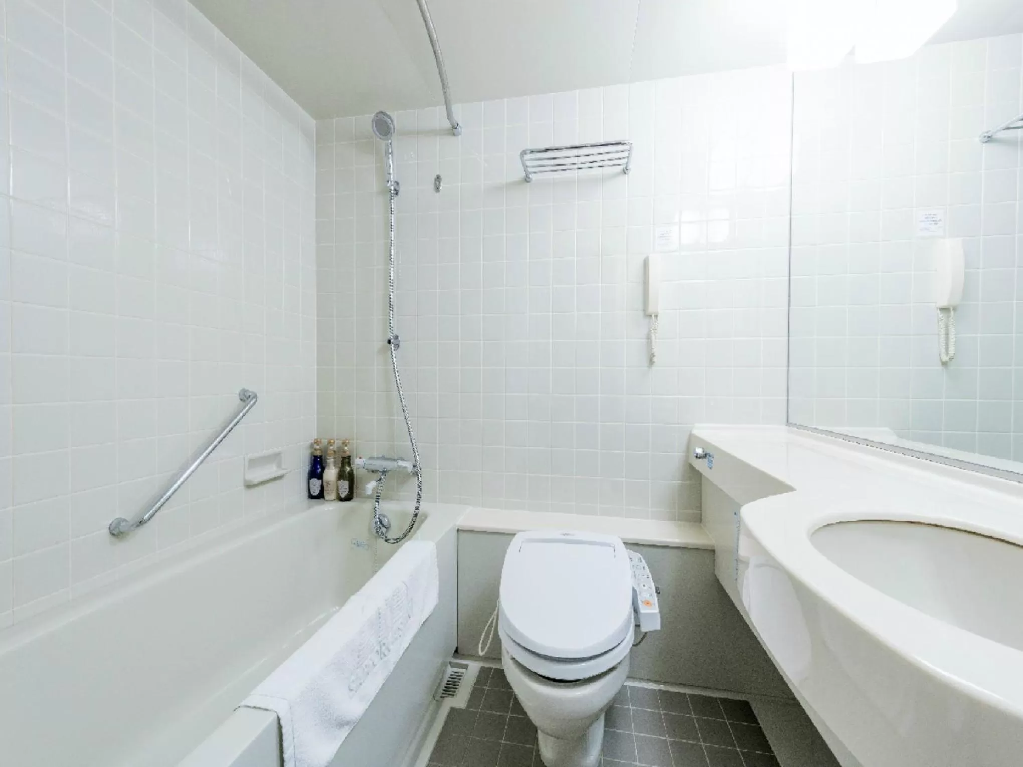 Photo of the whole room in HOTEL MYSTAYS Sapporo Aspen