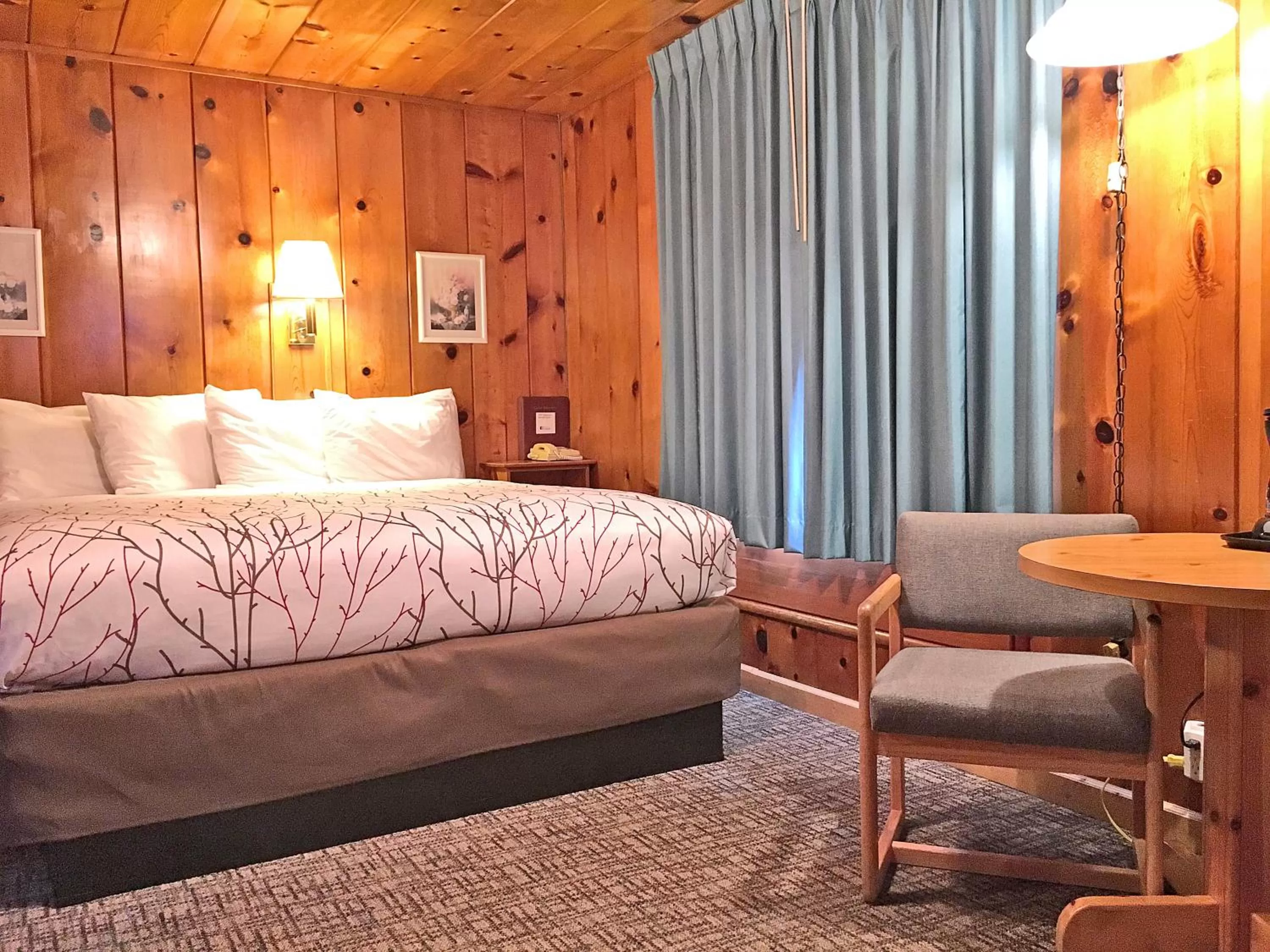 Bed in Park Motel and Cabins