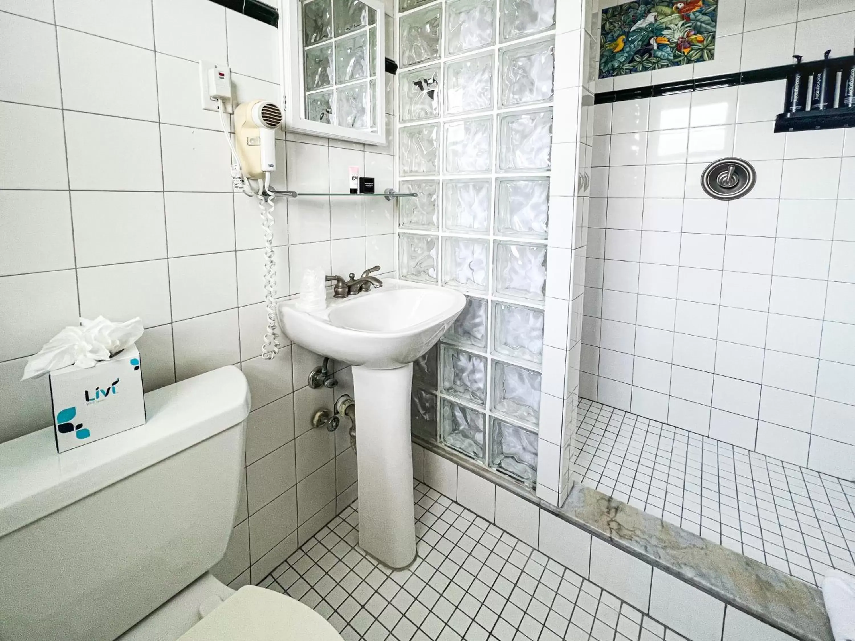 Shower, Bathroom in Winterset