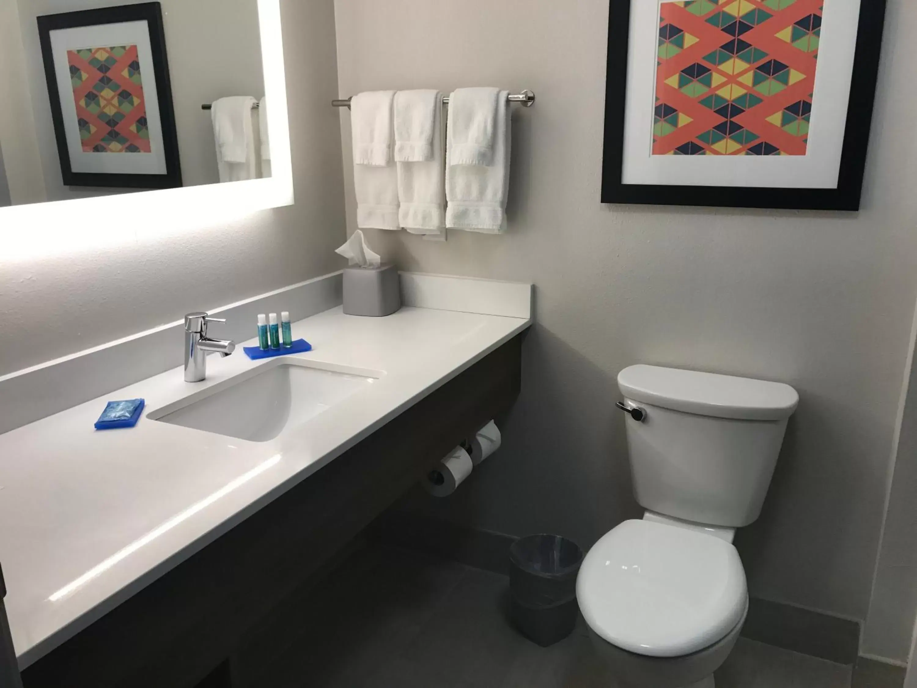 Bathroom in Holiday Inn Express - Naples South - I-75, an IHG Hotel