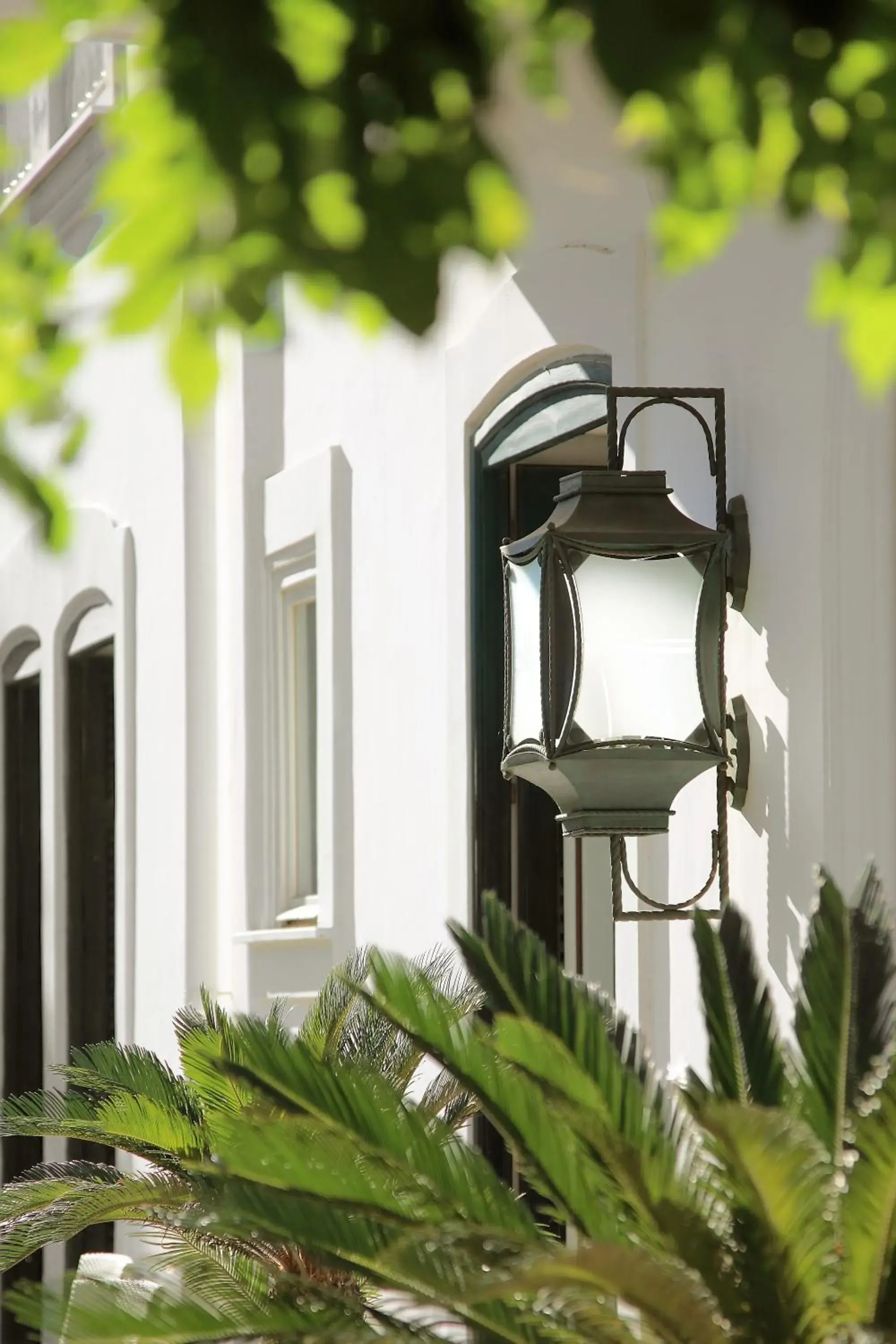 Garden in Hotel Mediterraneo