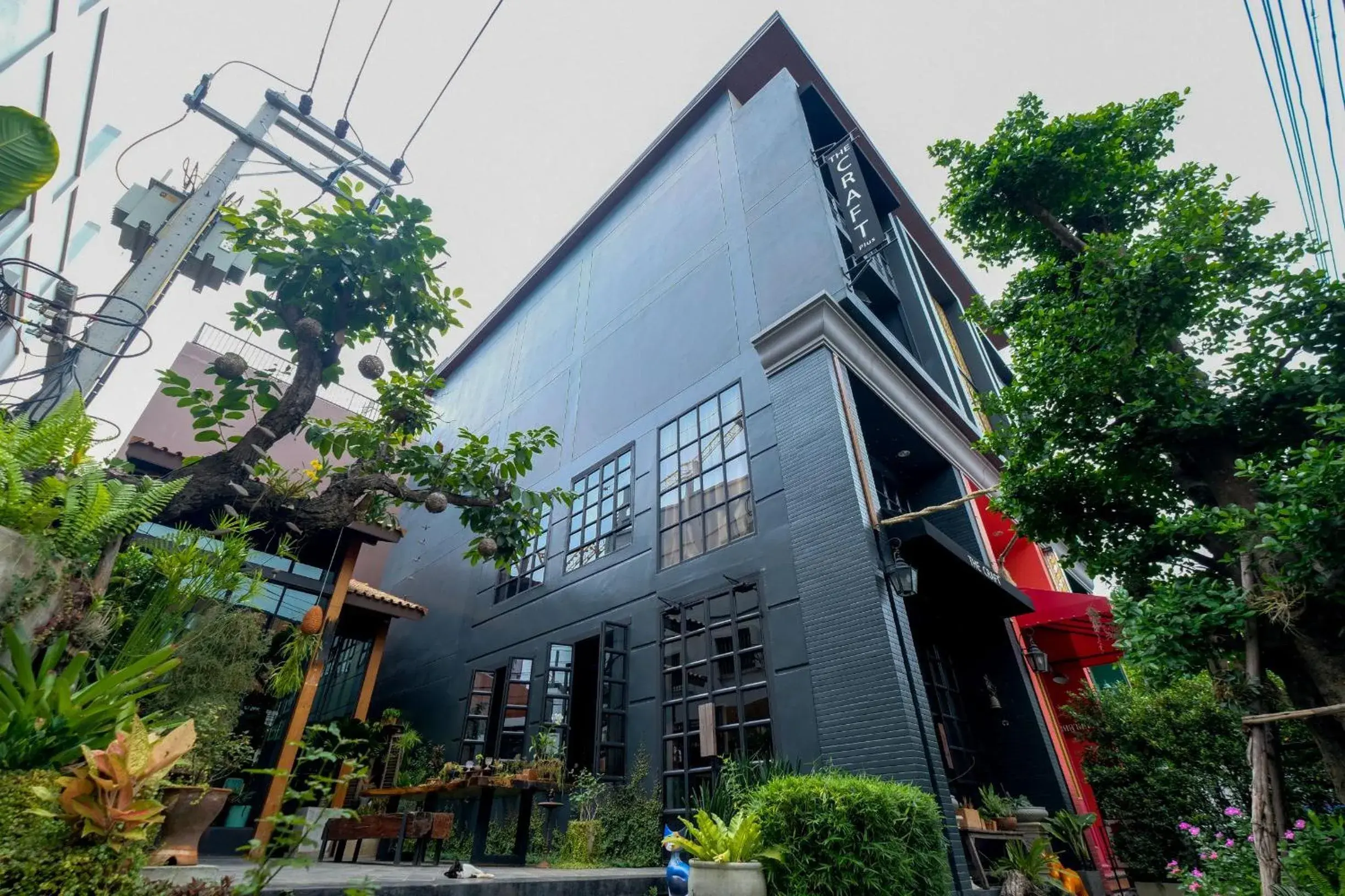 Property Building in The Craft Nimman