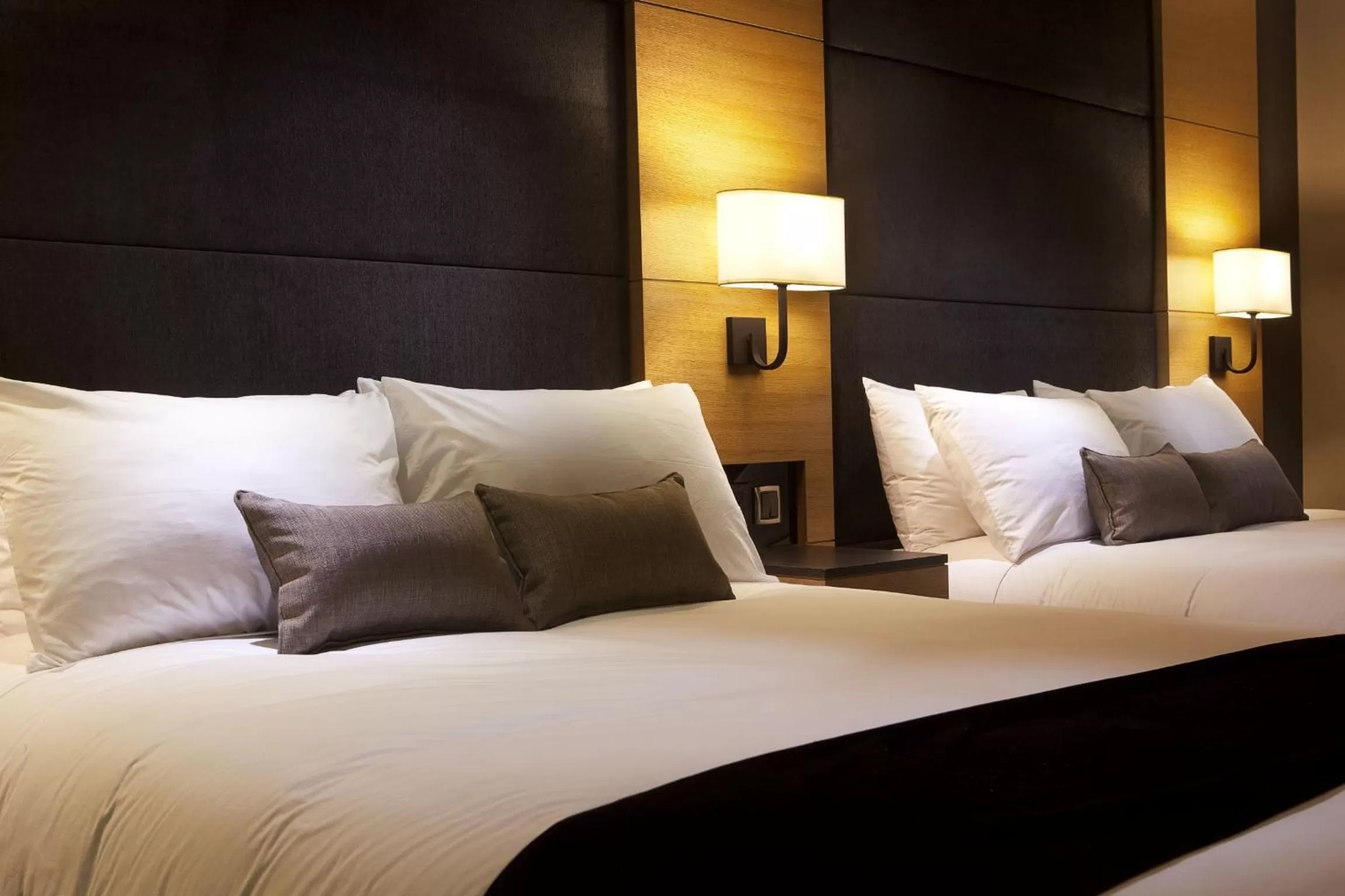 Shower, Bed in Ramada Plaza by Wyndham Prince George