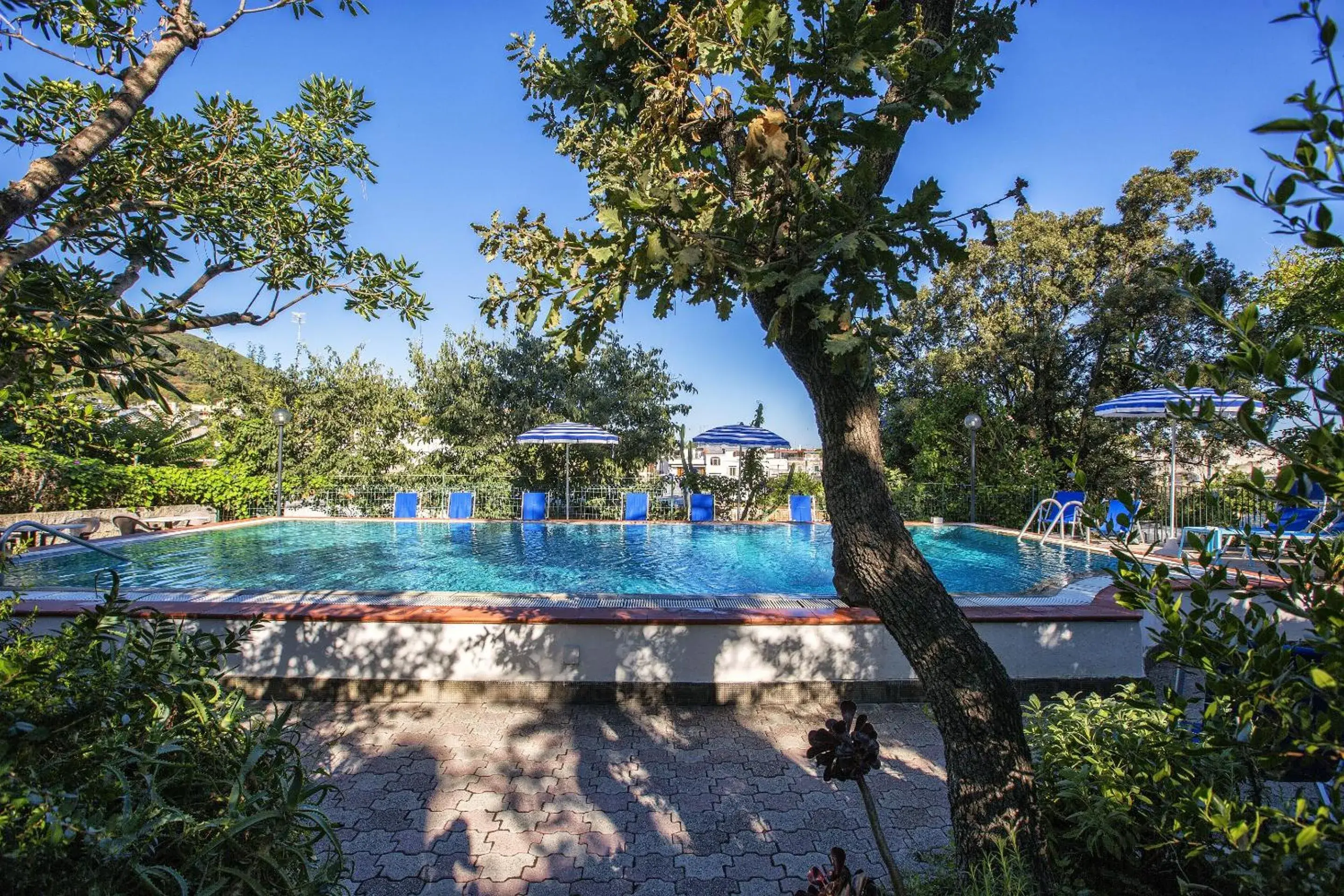 Swimming Pool in Hotel Vittoria