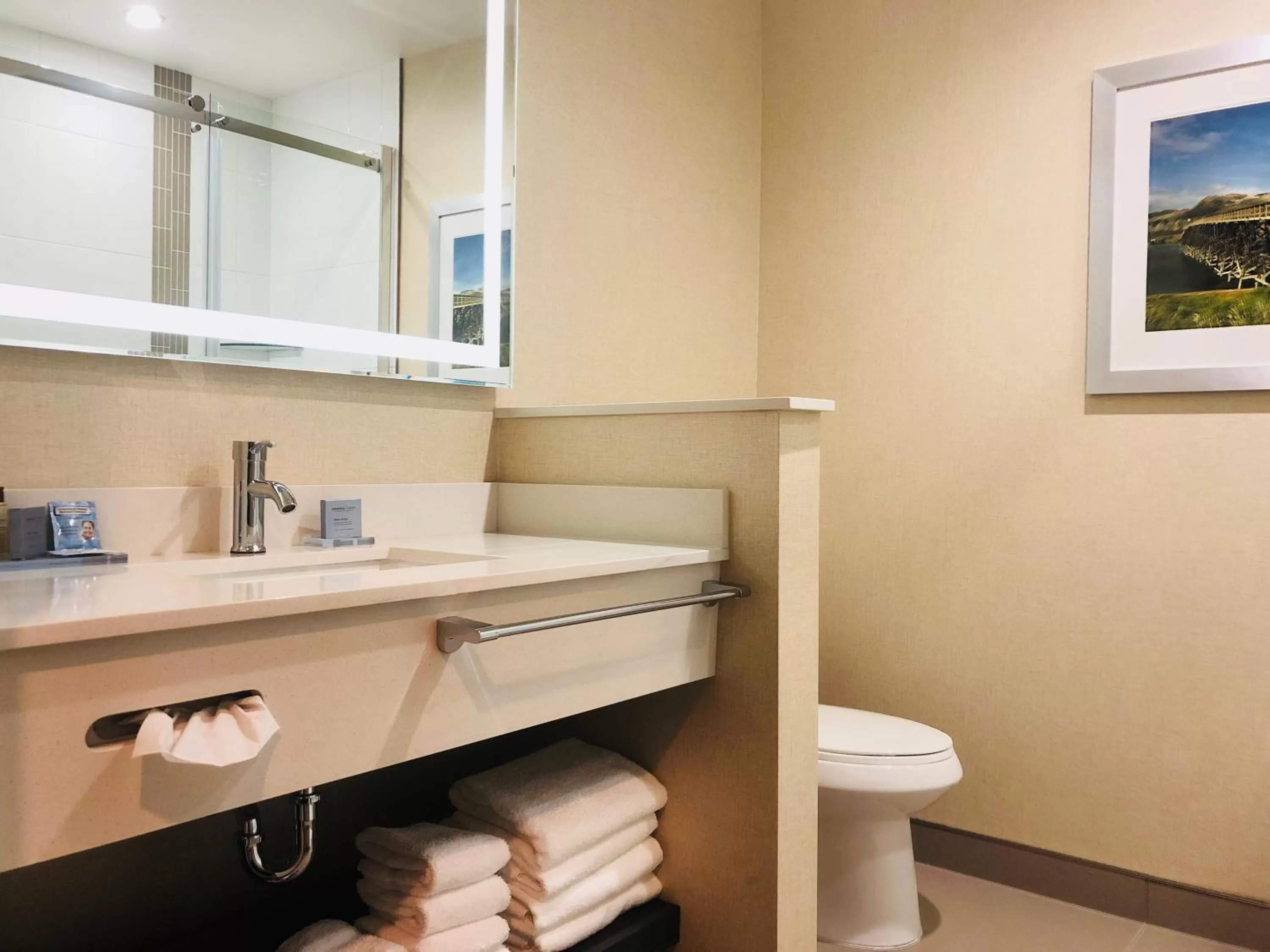 Bathroom in Wingate by Wyndham Kamloops