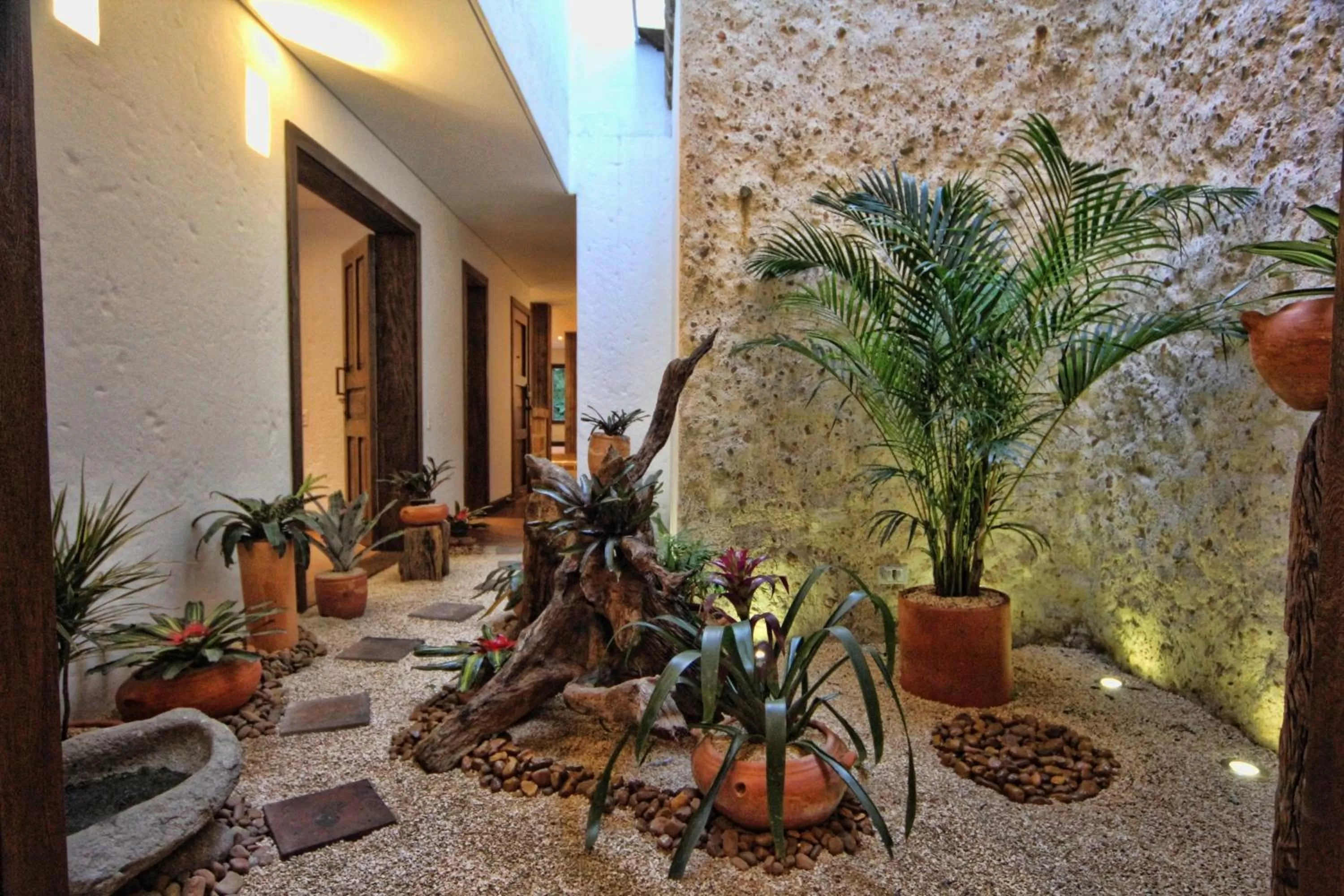 Garden in Casa Del Reloj