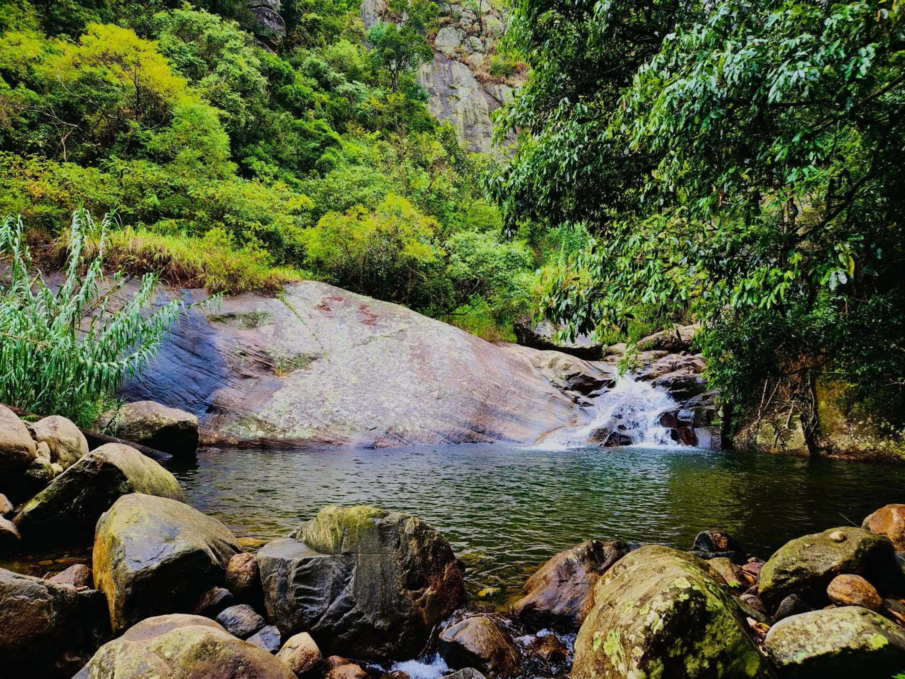 Spring, Natural Landscape in The Capoe House