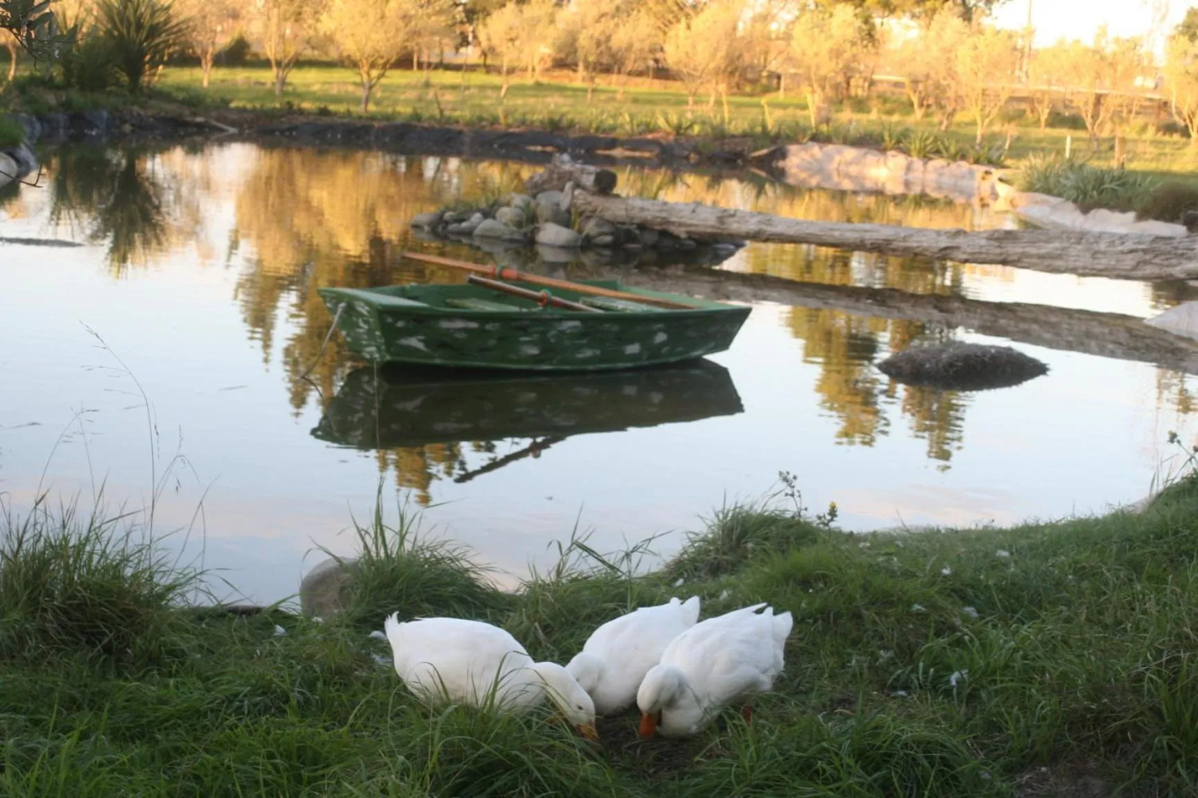 Garden in The Peppertree Luxury Accommodation