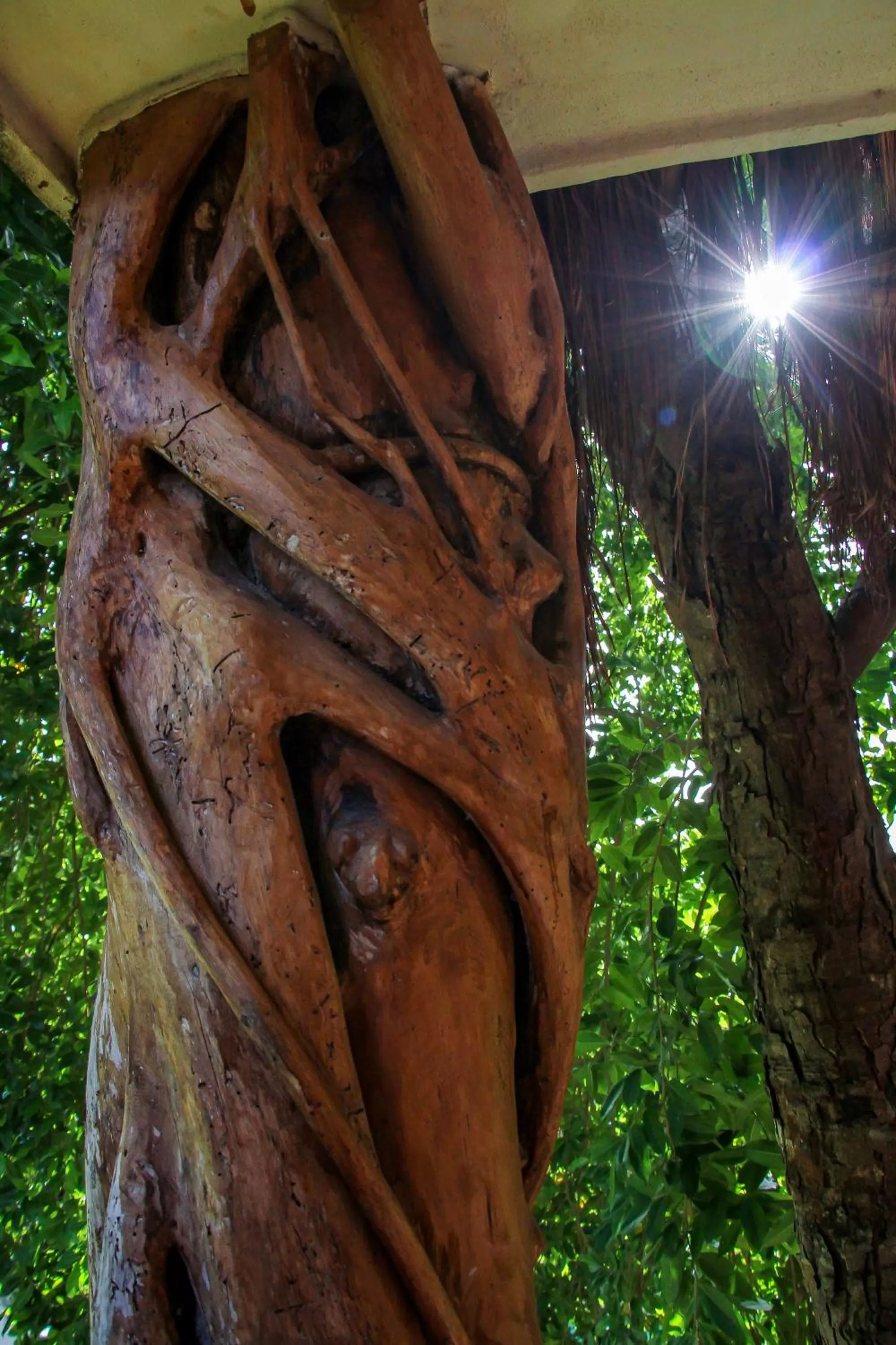 Natural landscape in Corazon De Jade Tulum