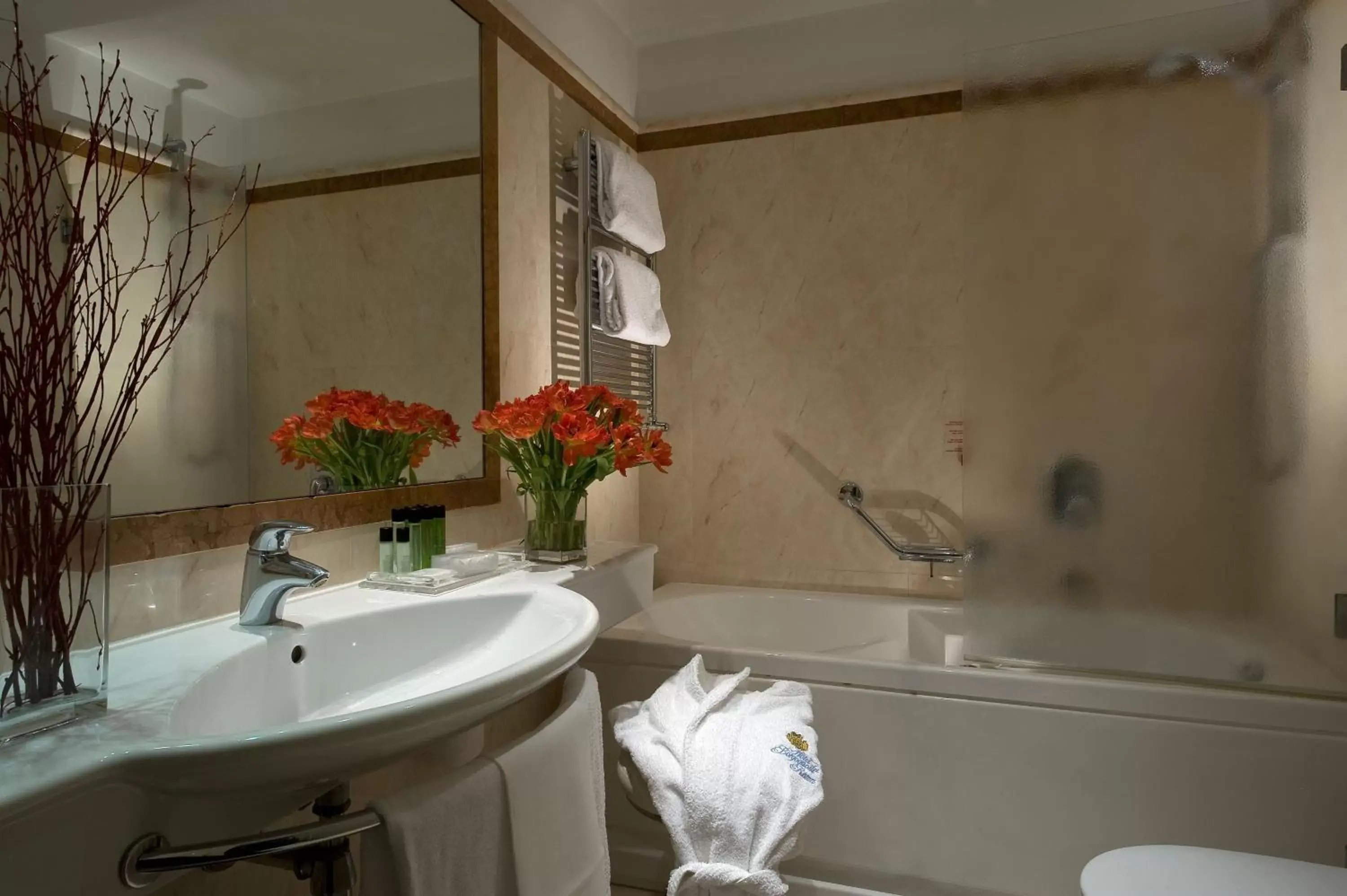 Toilet, Bathroom in Hotel dei Borgognoni