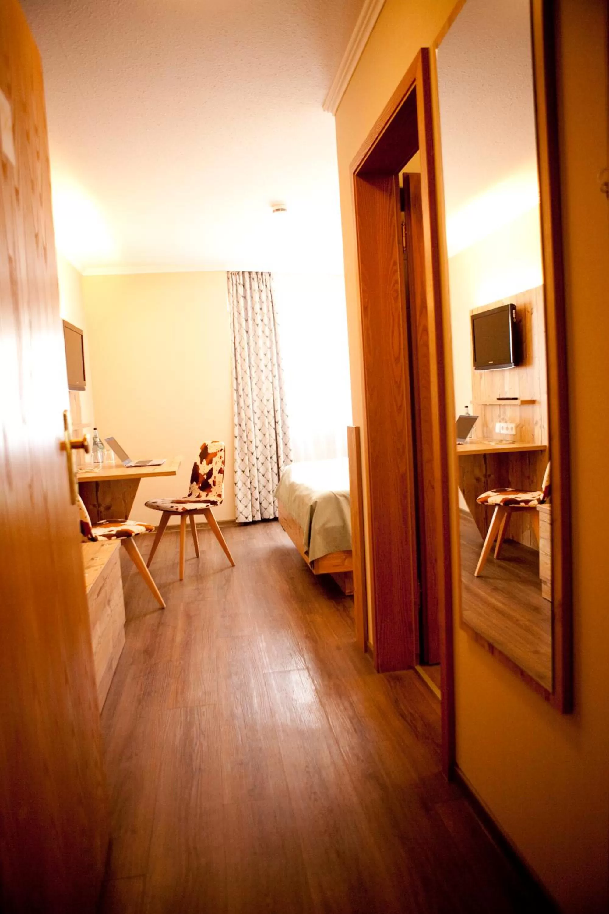 TV and multimedia in Hotel & Restaurant Zum Reussenstein