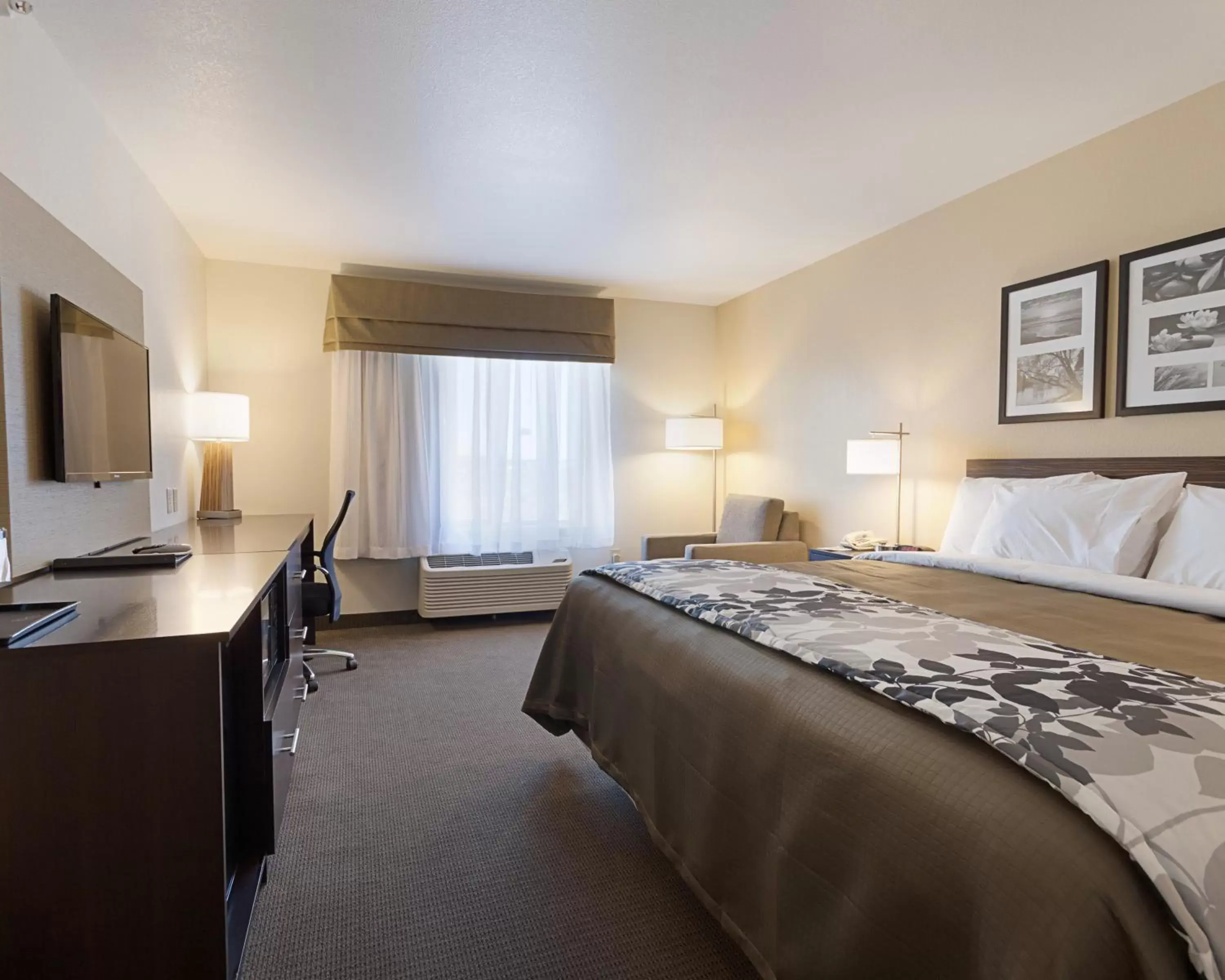 Photo of the whole room, Bed in Sleep Inn & Suites Carlsbad Caverns Area