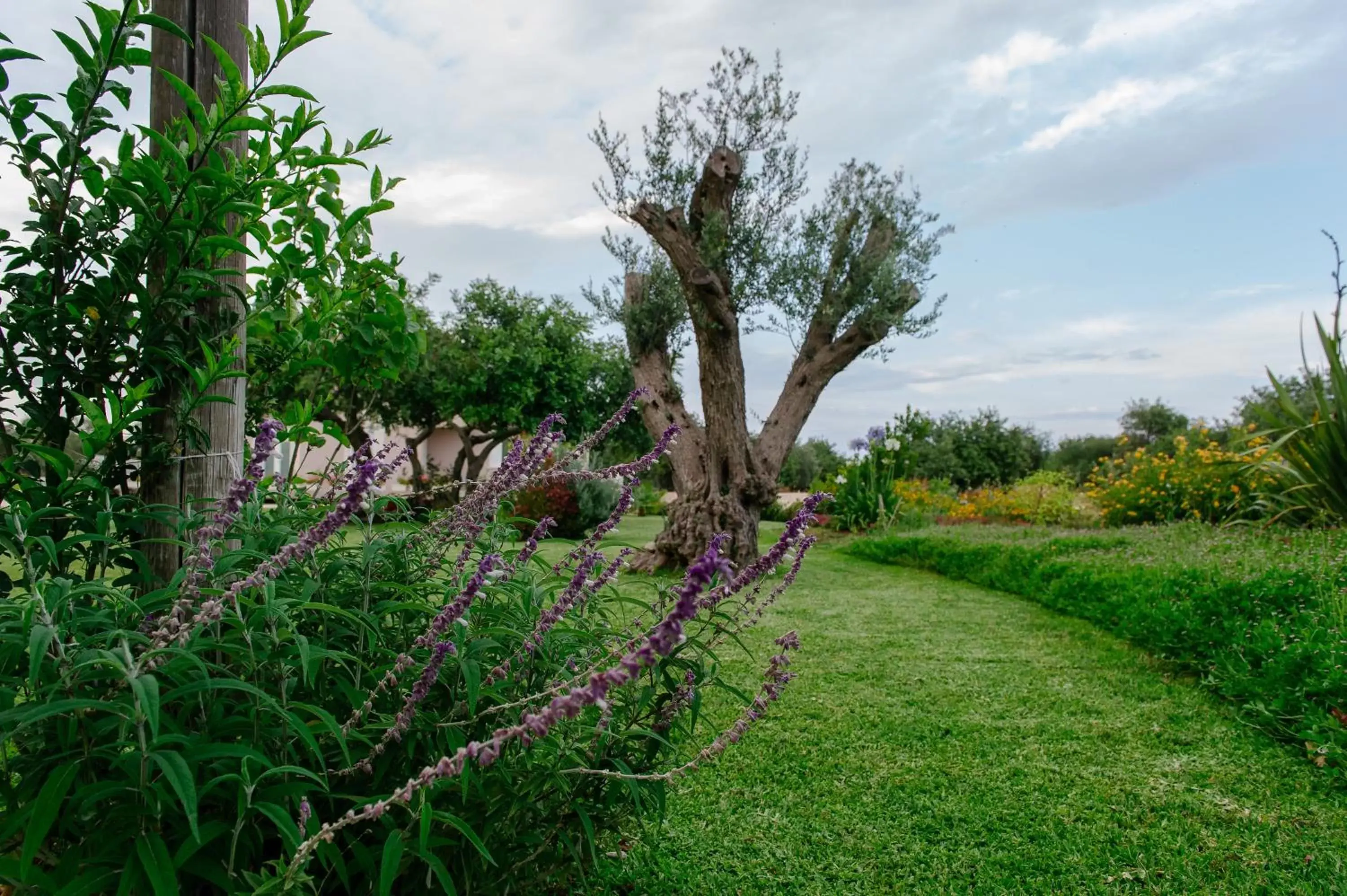 Natural landscape in Barokhouse