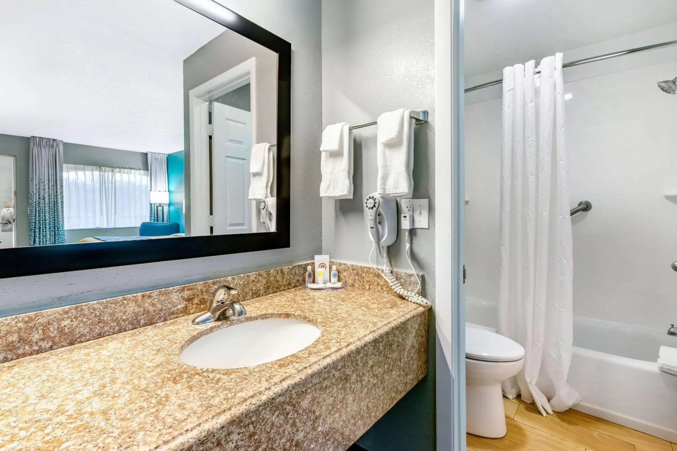 Bathroom in Comfort Inn Sun City Center-Tampa South