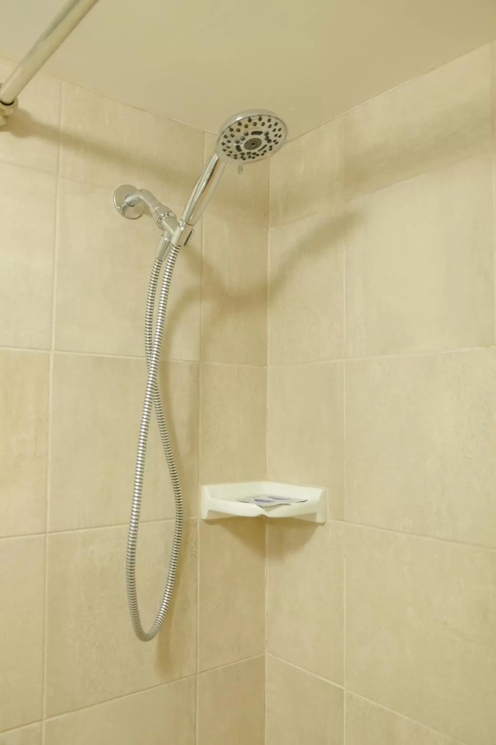 Shower, Bathroom in Sherwood Arms Motel
