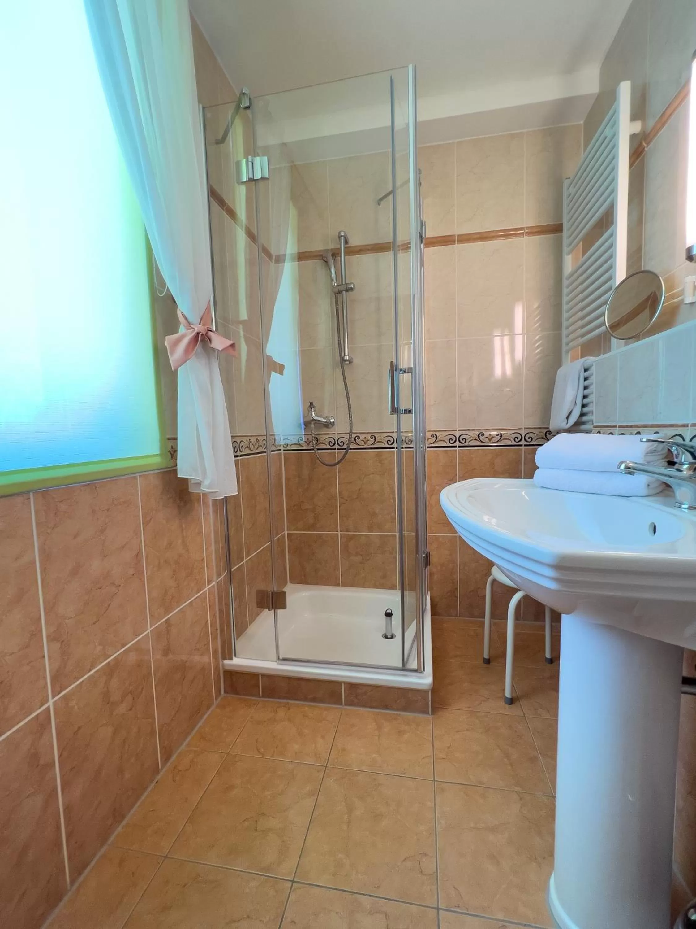 Shower in Hotel Landhaus Wörlitzer Hof