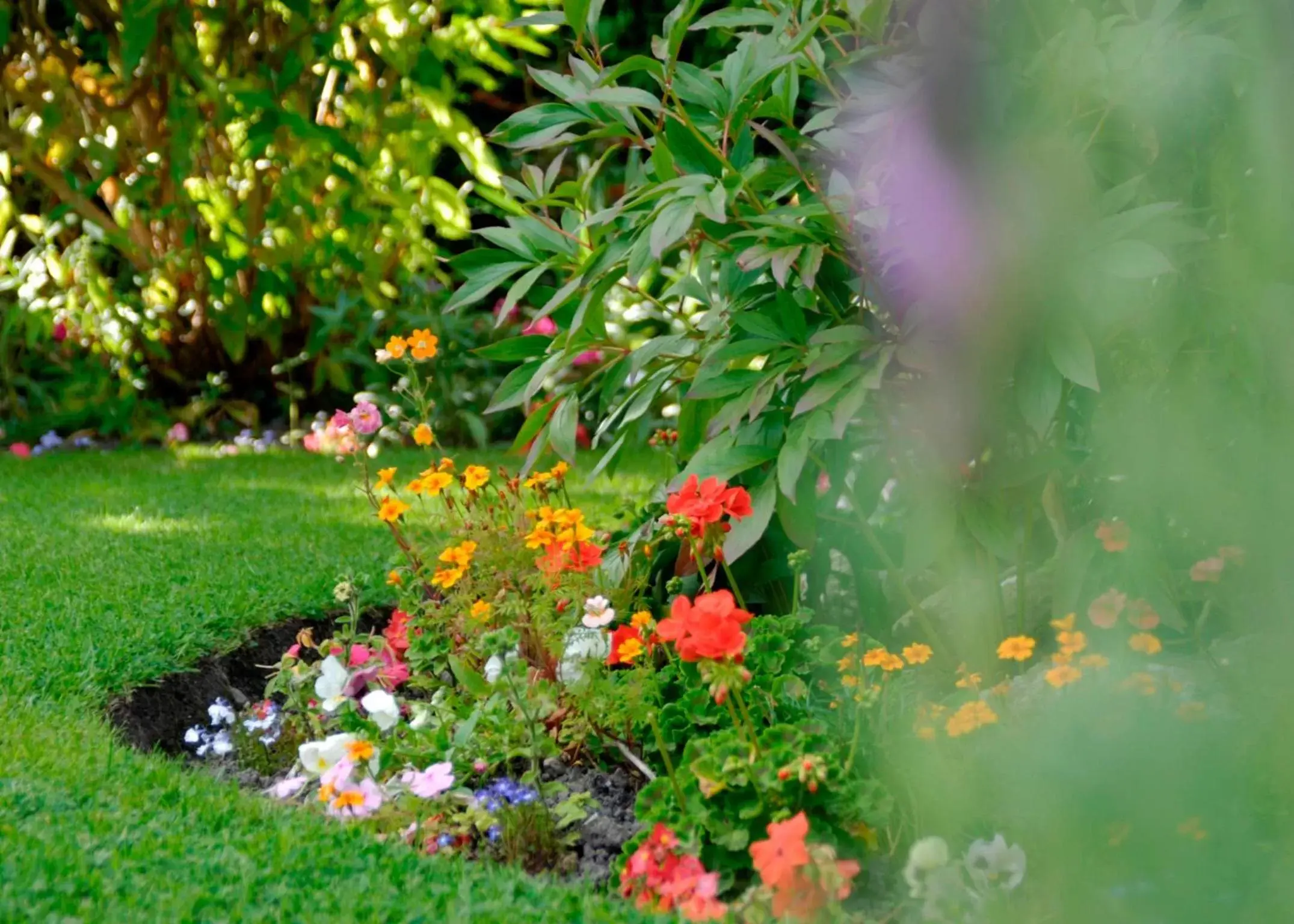 Garden, Other Animals in Gaskell Arms