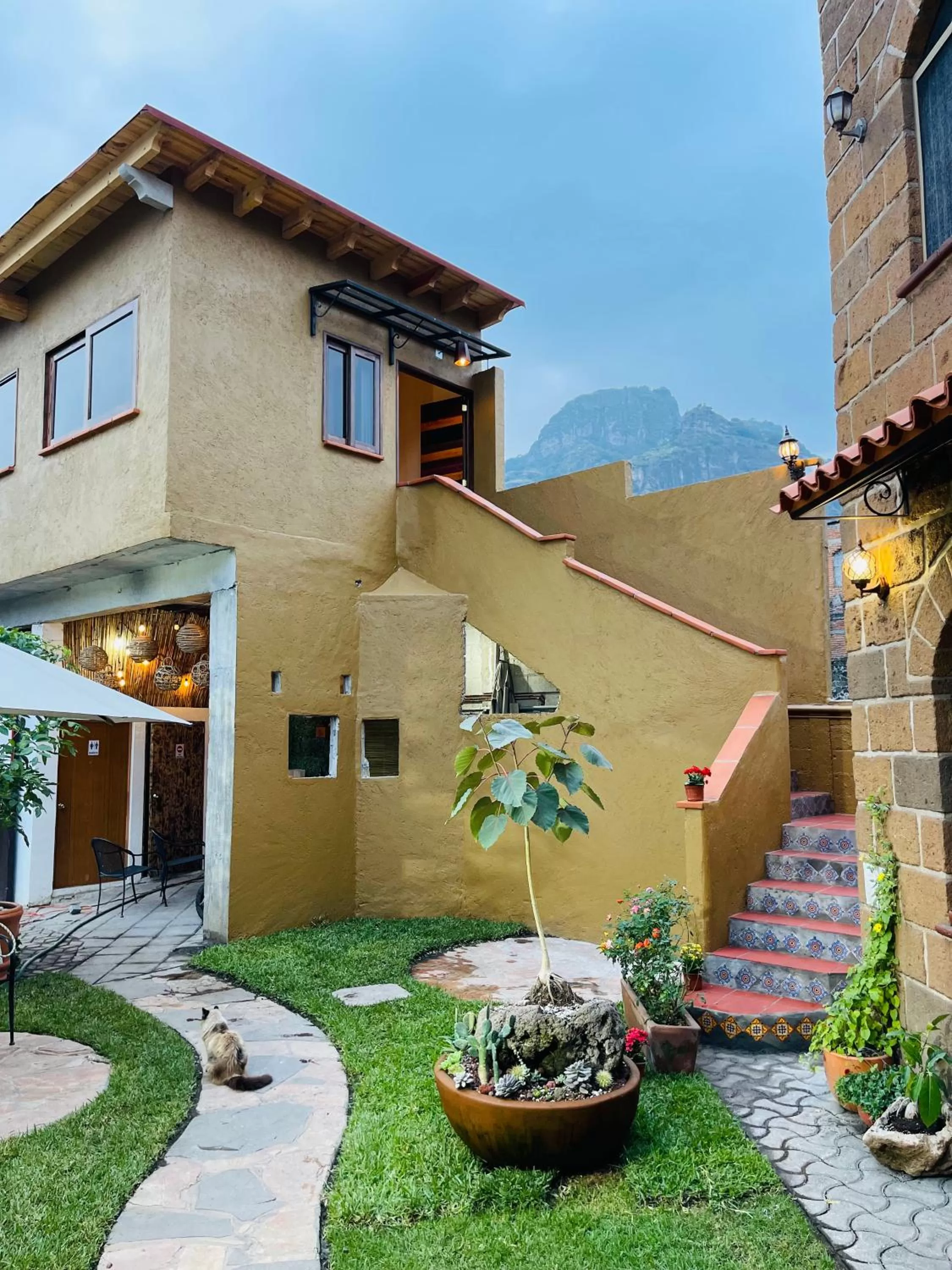 Property Building in Ma Petite Maison