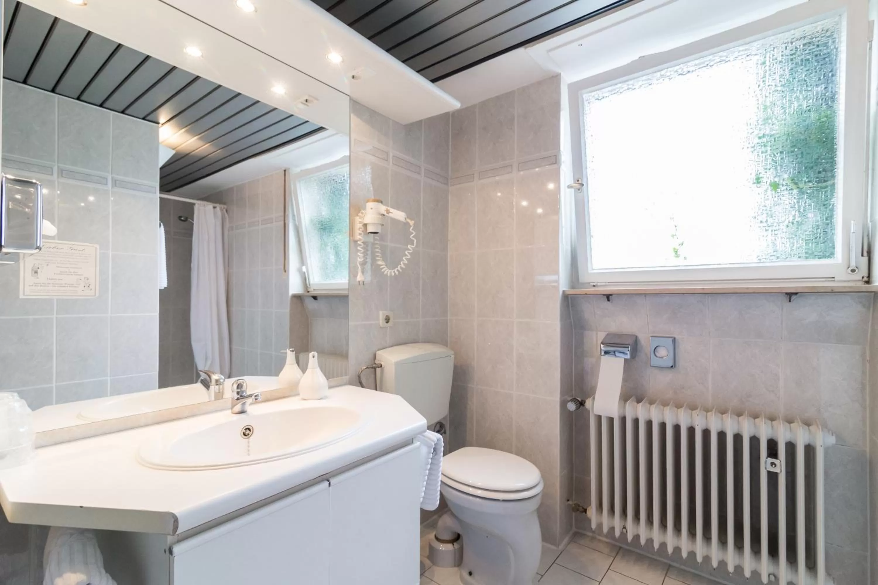 Bathroom in Thermen Hotel & Restaurant Bad Soden